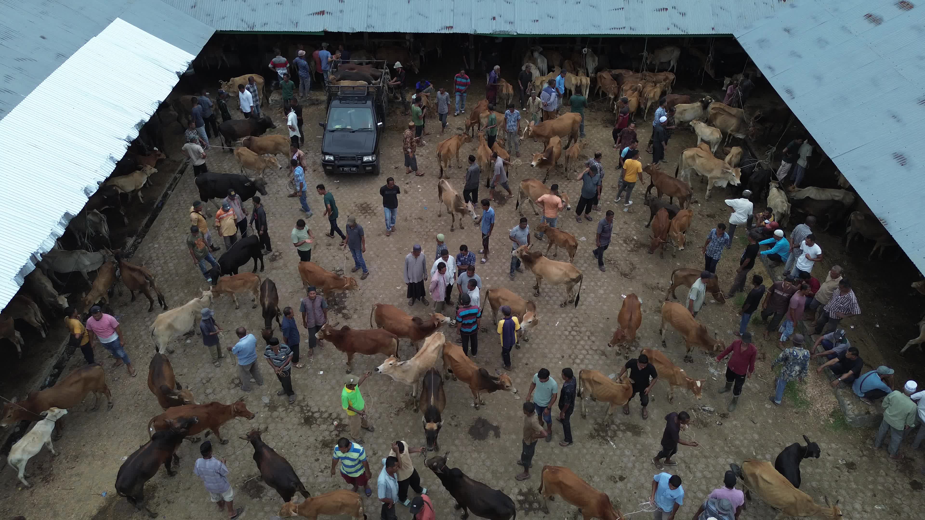 Traditional Livestock Market in Aceh