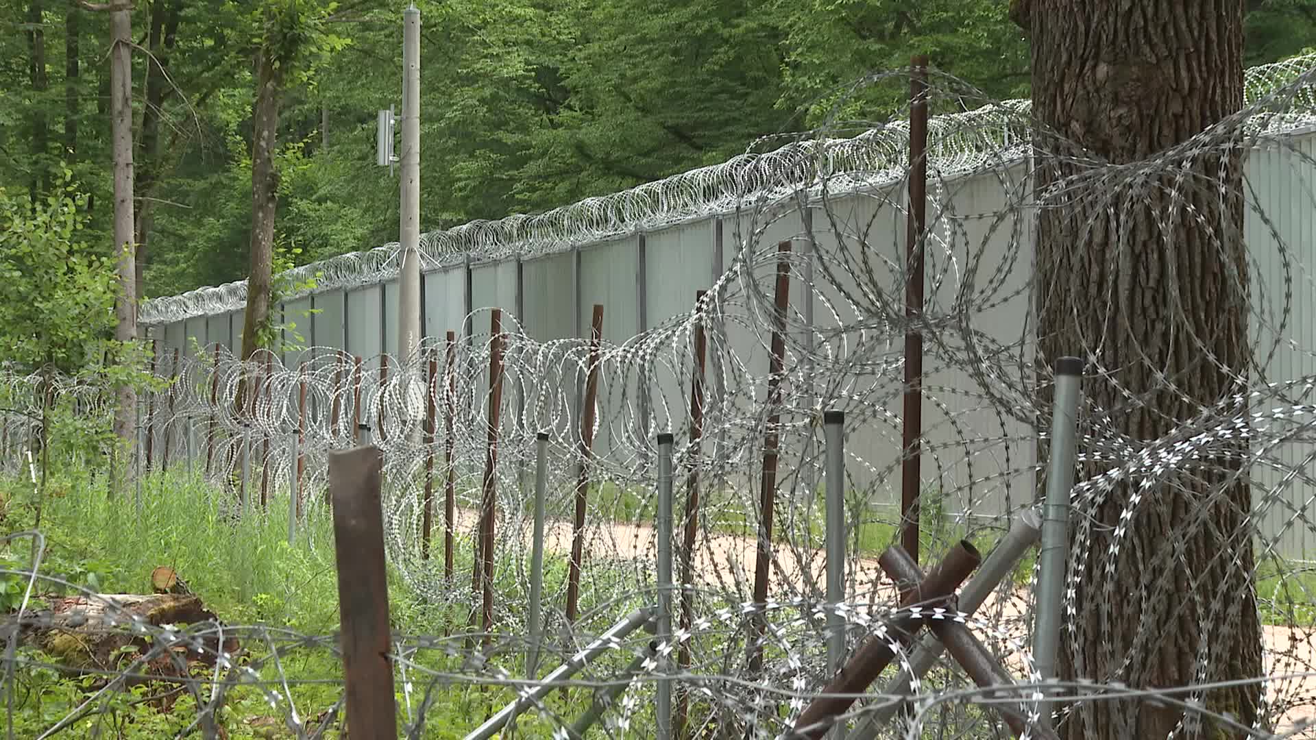 "The situation is very bad": says migrant who got stuck at Belarusian-Polish border