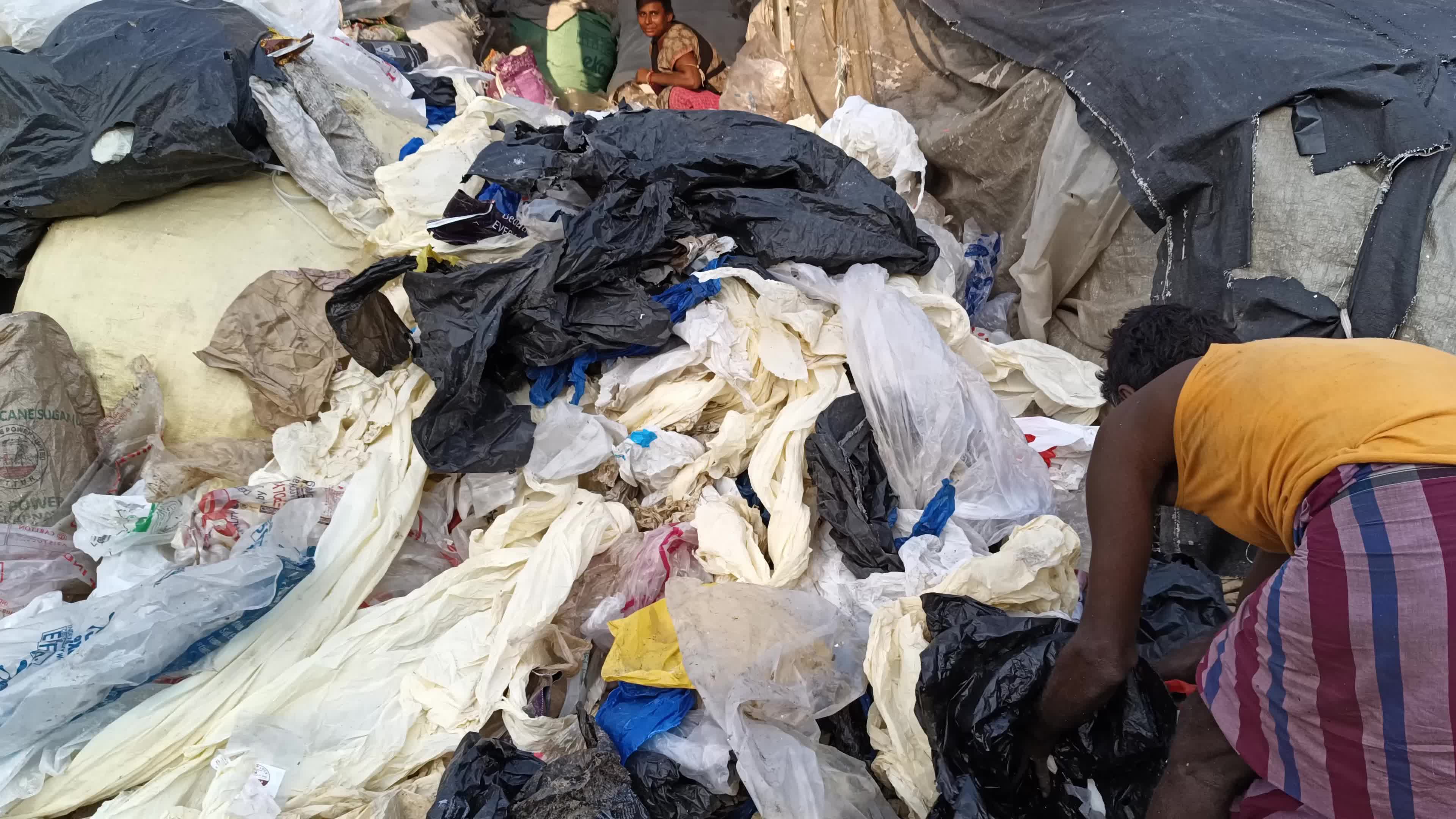 Environment Issue In India