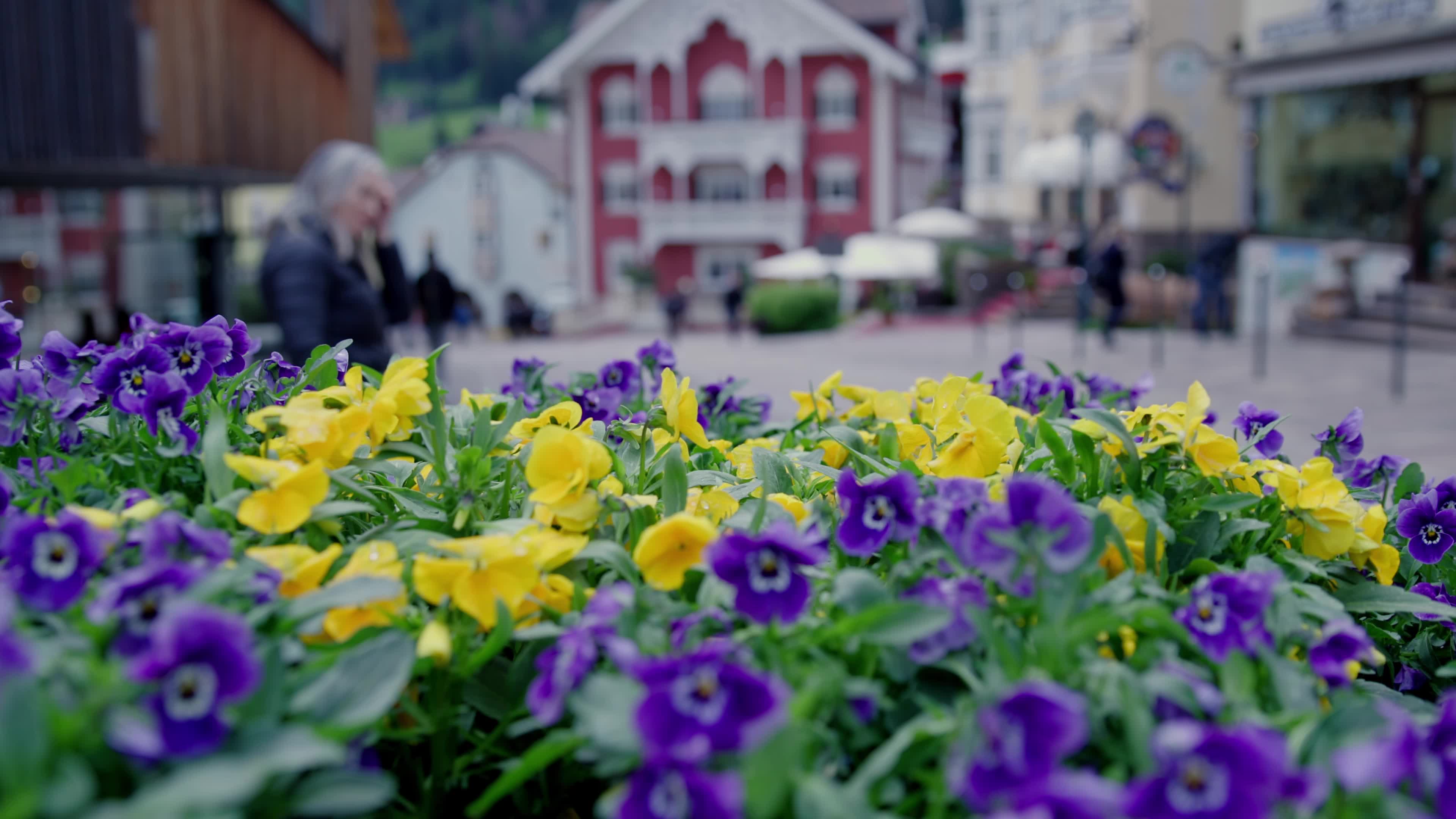 Cityshots: Ortisei, Val Gardena