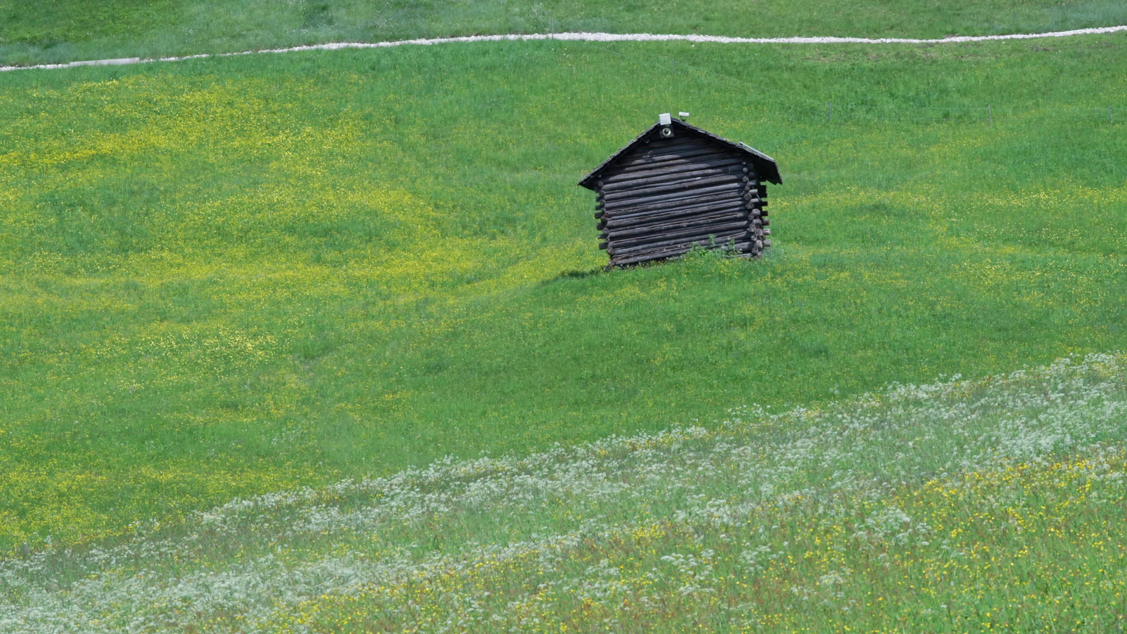 Daily Life In South Tyrol