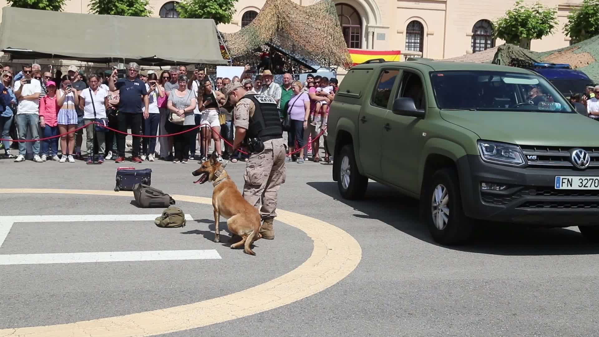 Demonstration of a trained dog of the Spanish Naval Police