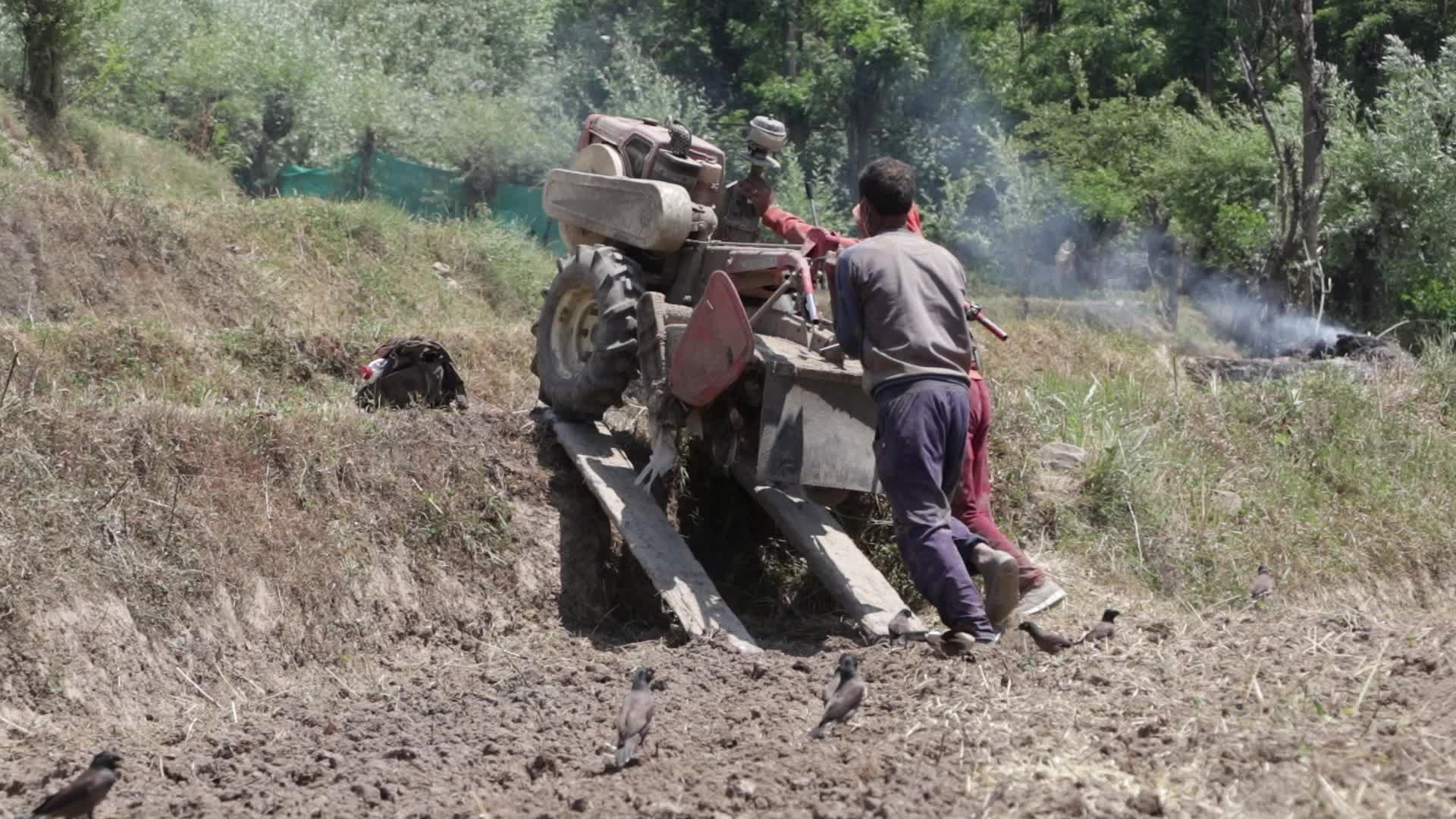 Farming Season In Kashmir