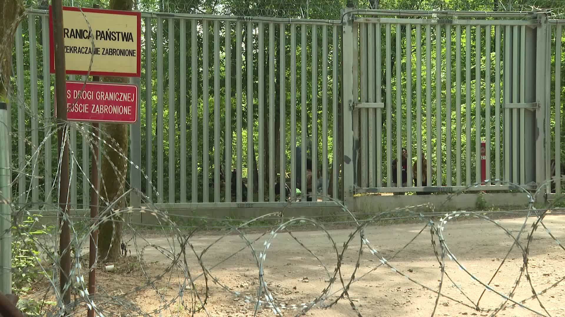 Migrant arrivals at Belarus border prompts possible reintroduction of Poland's buffer zone