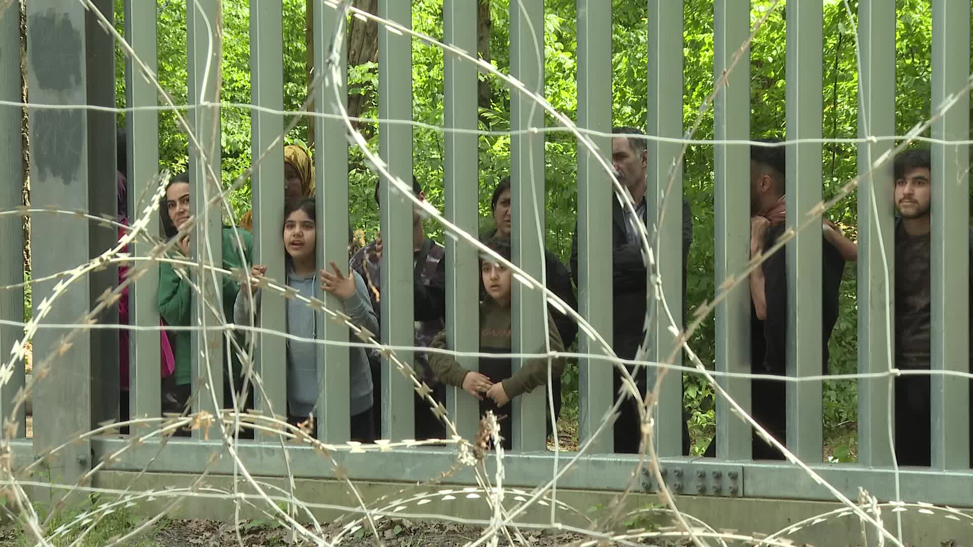 Migrant arrivals at Belarus border prompts possible reintroduction of Poland's buffer zone