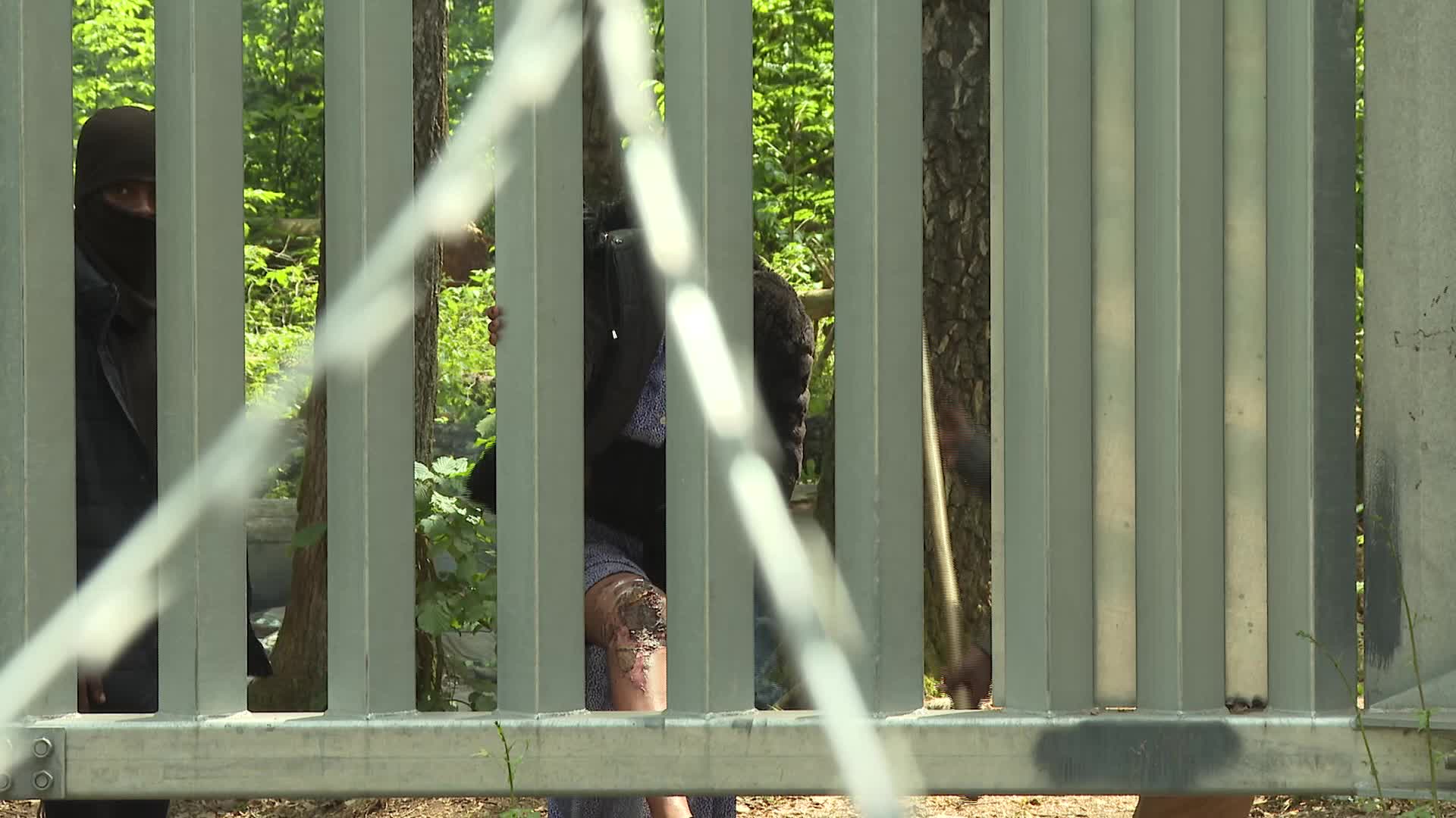 Migrant arrivals at Belarus border prompts possible reintroduction of Poland's buffer zone