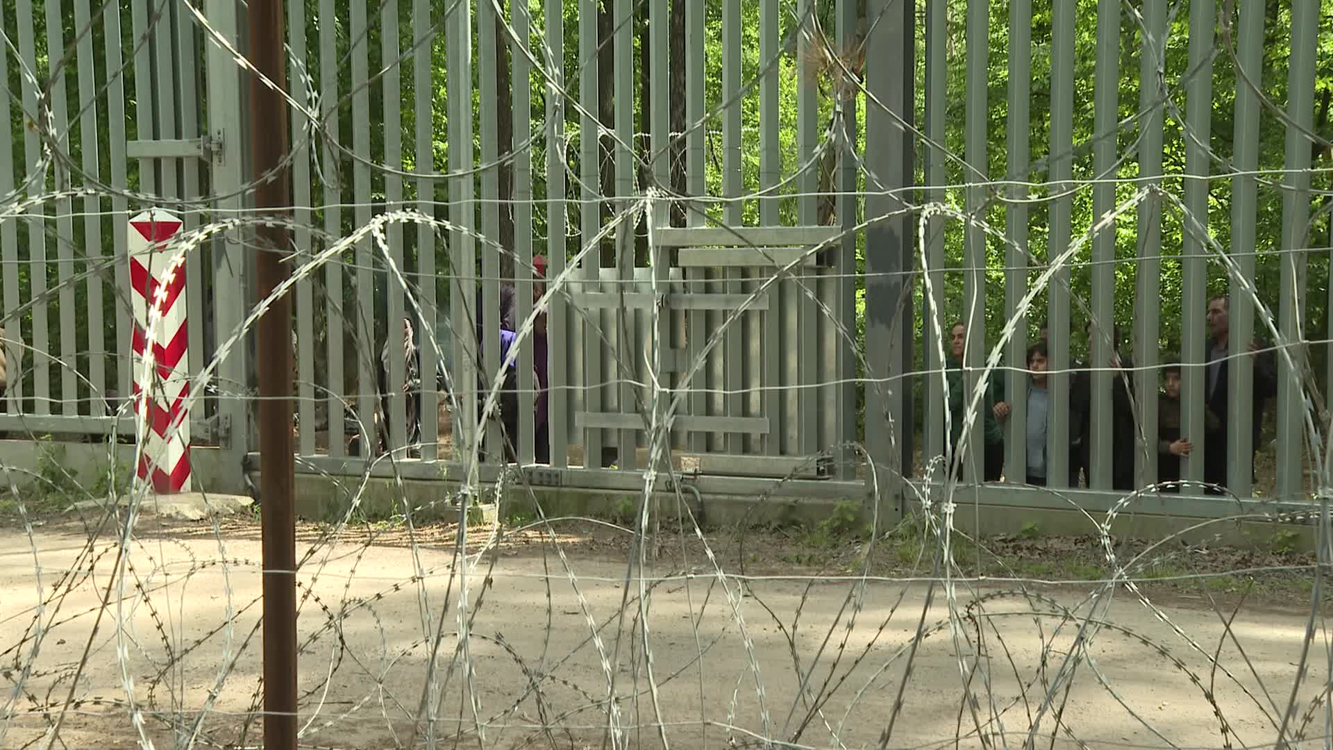 Migrant arrivals at Belarus border prompts possible reintroduction of Poland's buffer zone