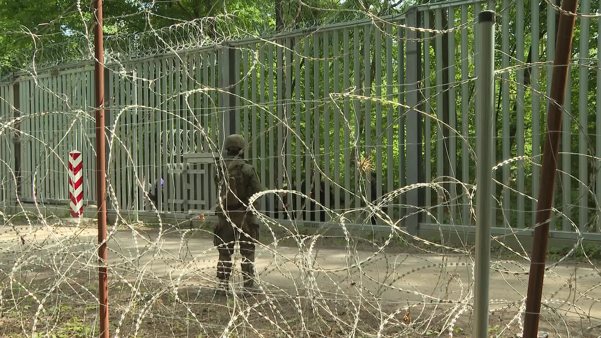 Migrant arrivals at Belarus border prompts possible reintroduction of Poland's buffer zone