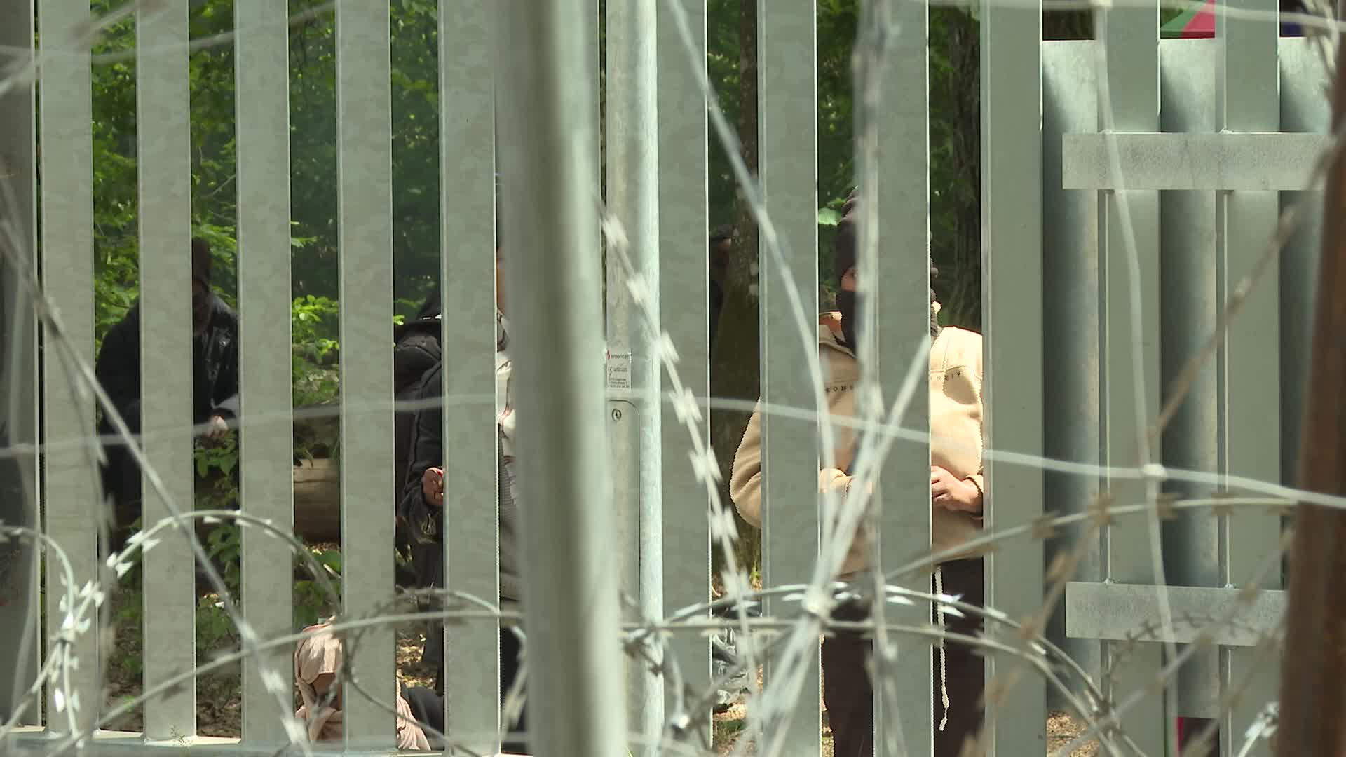 Migrant arrivals at Belarus border prompts possible reintroduction of Poland's buffer zone