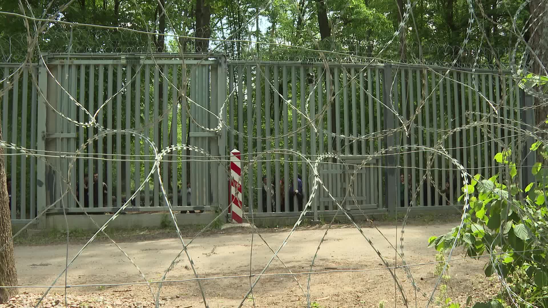 Migrant arrivals at Belarus border prompts possible reintroduction of Poland's buffer zone