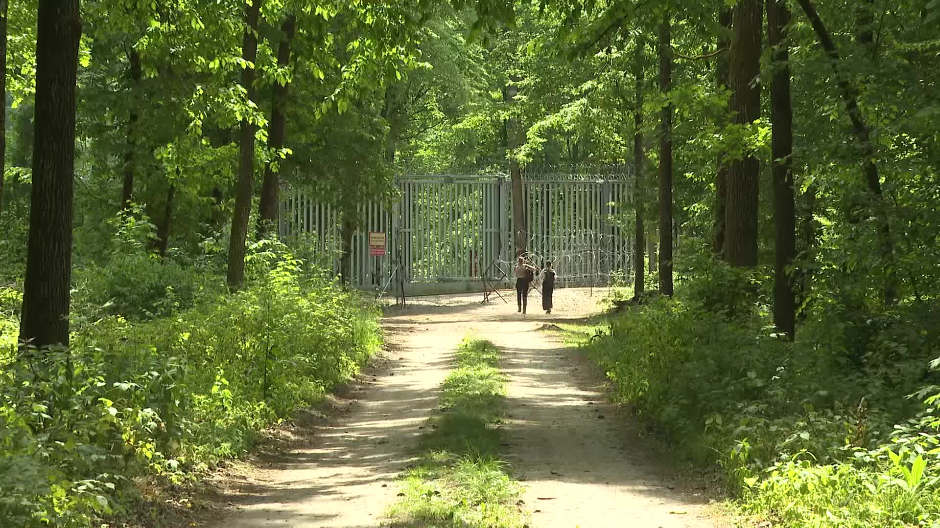 Migrant arrivals at Belarus border prompts possible reintroduction of Poland's buffer zone