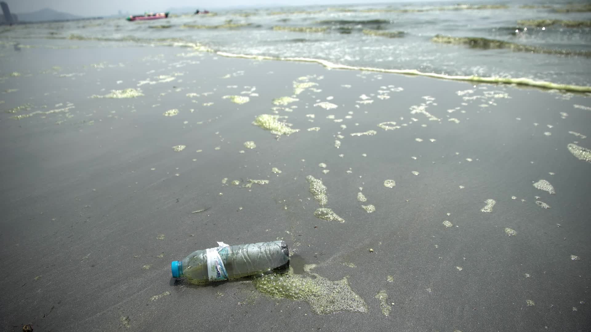Plankton bloom in Chonburi, Thailand