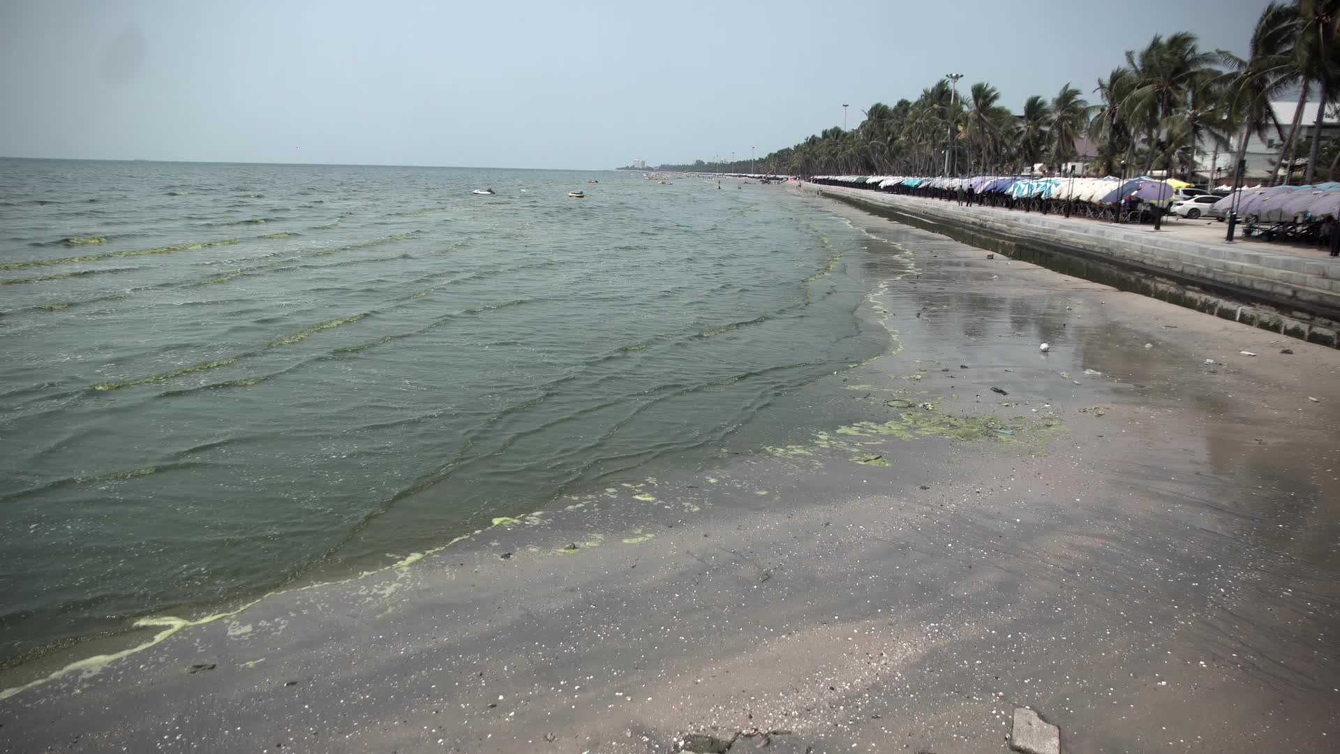 Plankton bloom in Chonburi, Thailand