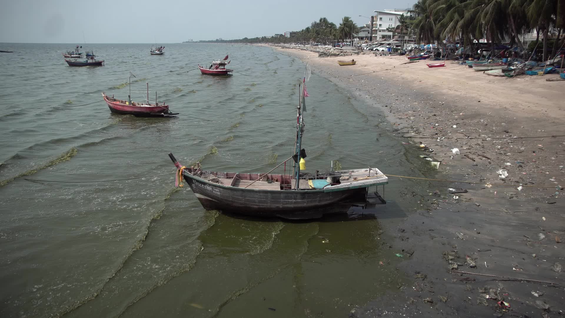 Plankton bloom in Chonburi, Thailand