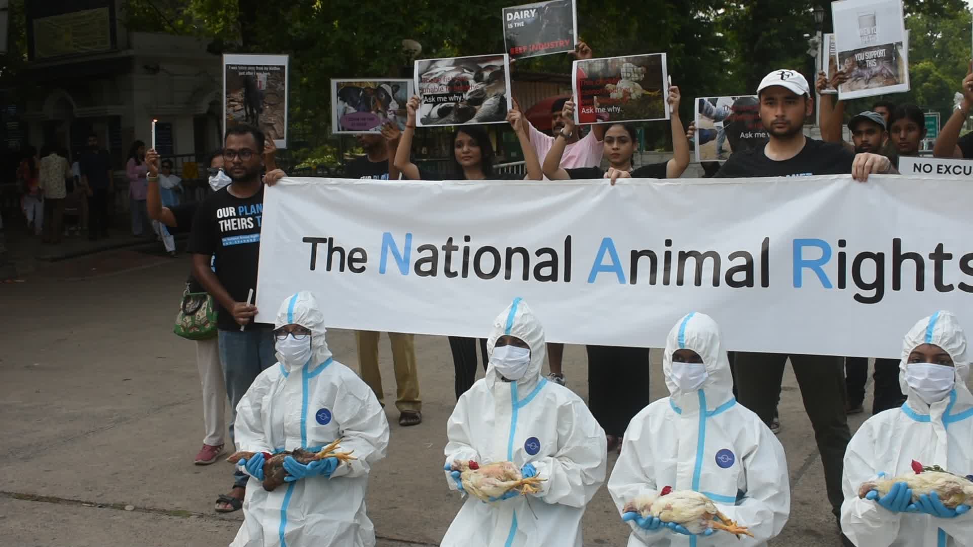 Animal rights protest in India.