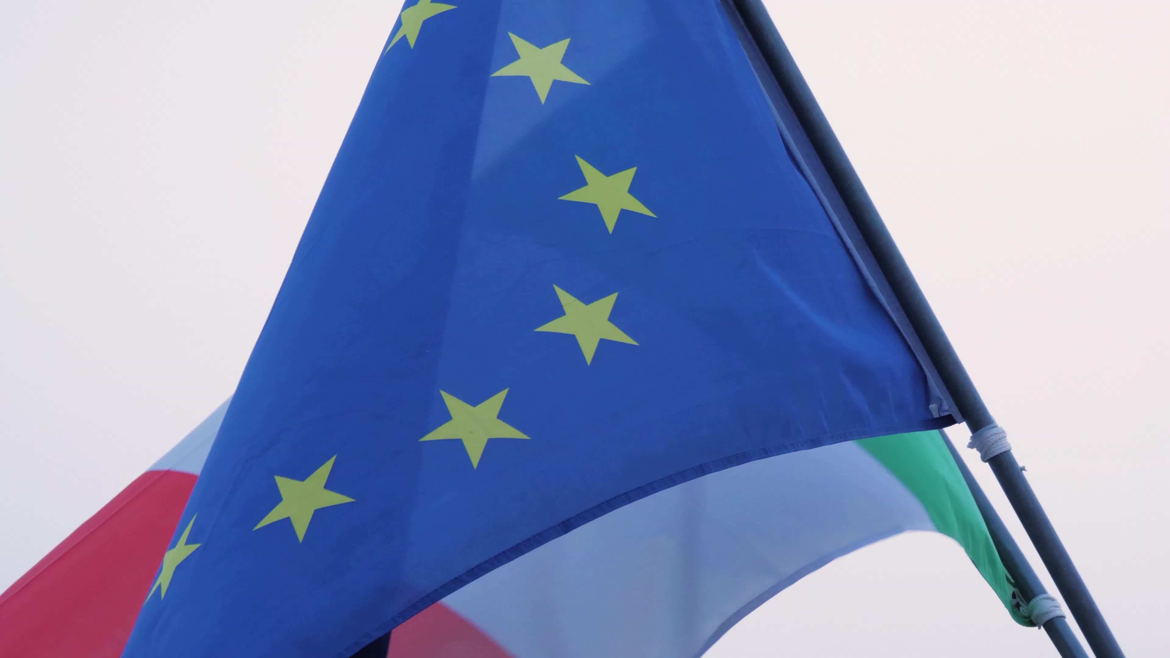 Election of the members of the European Parliament 2024