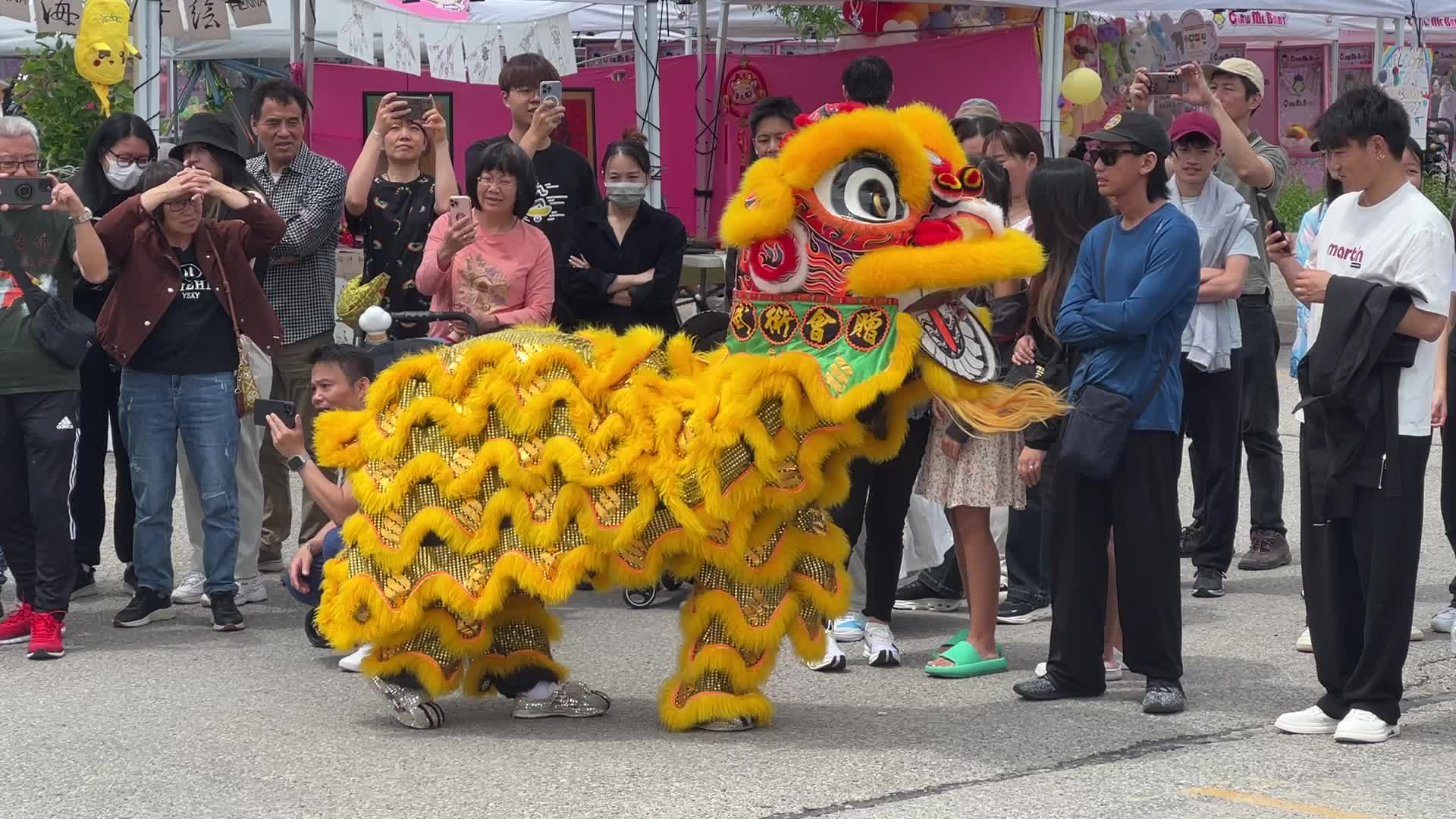 Chinese high pole lion dance in Markham