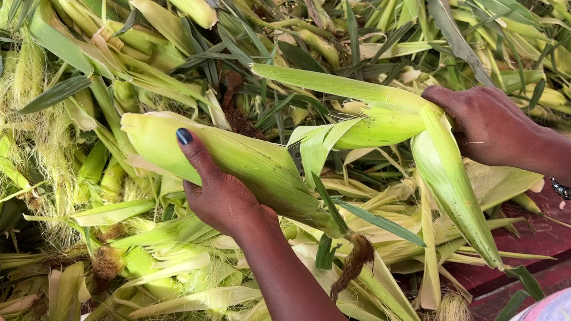 Corn