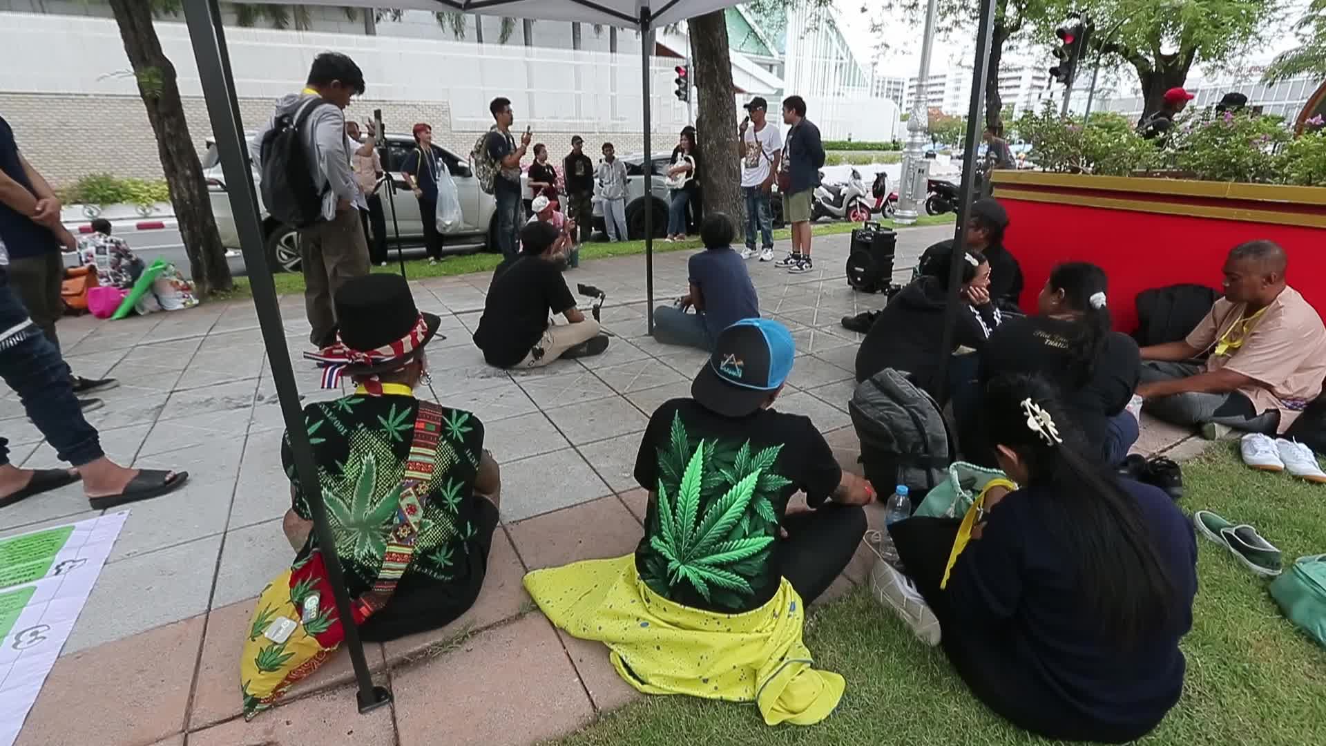 Pro-Cannabis Activists Protest Recriminalization Of Marijuana