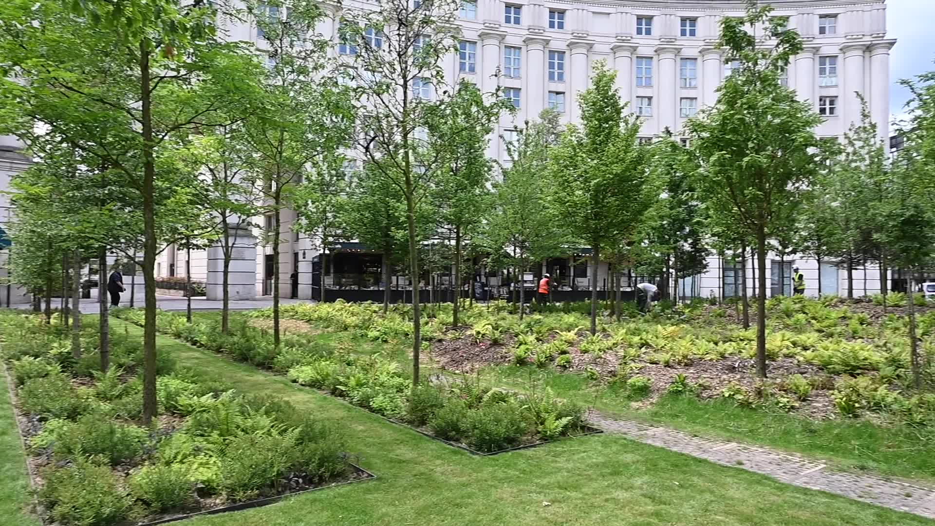 Urban forest in Paris