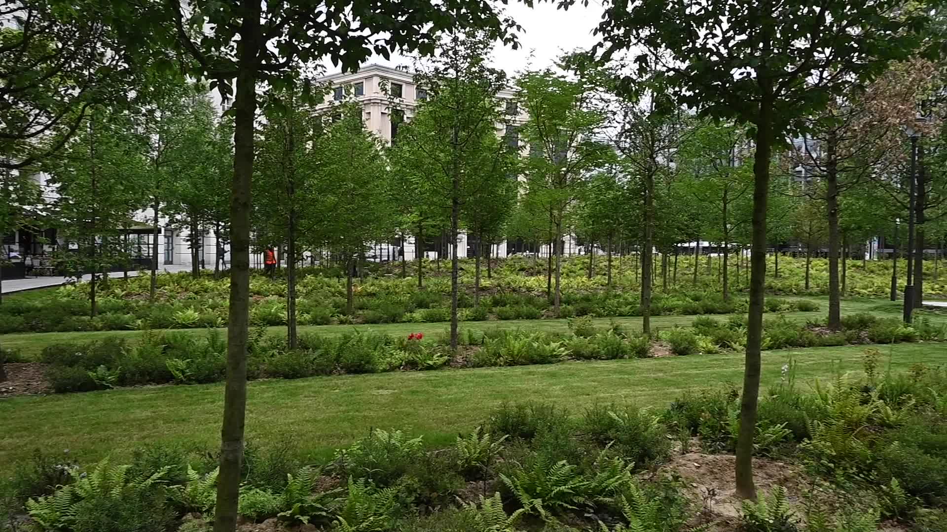 Urban forest in Paris