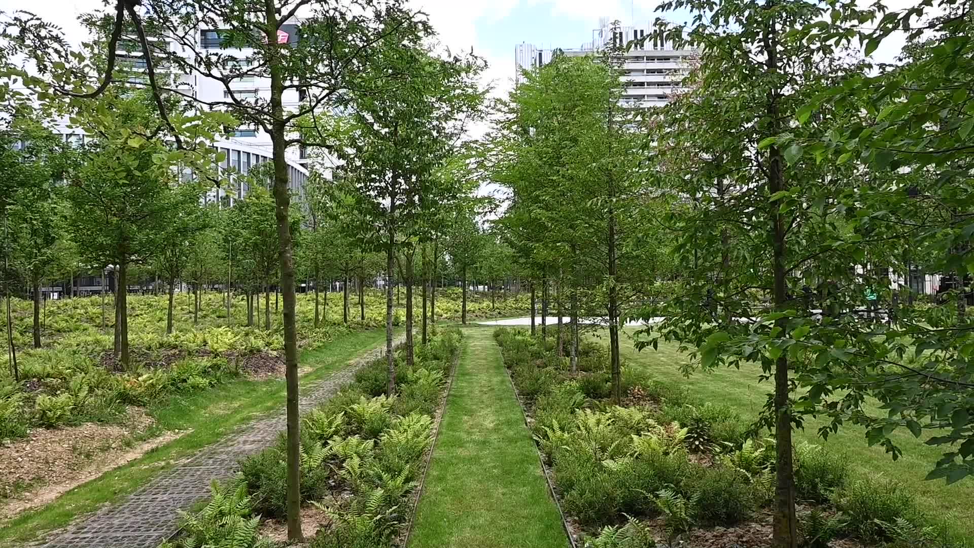 Urban forest in Paris