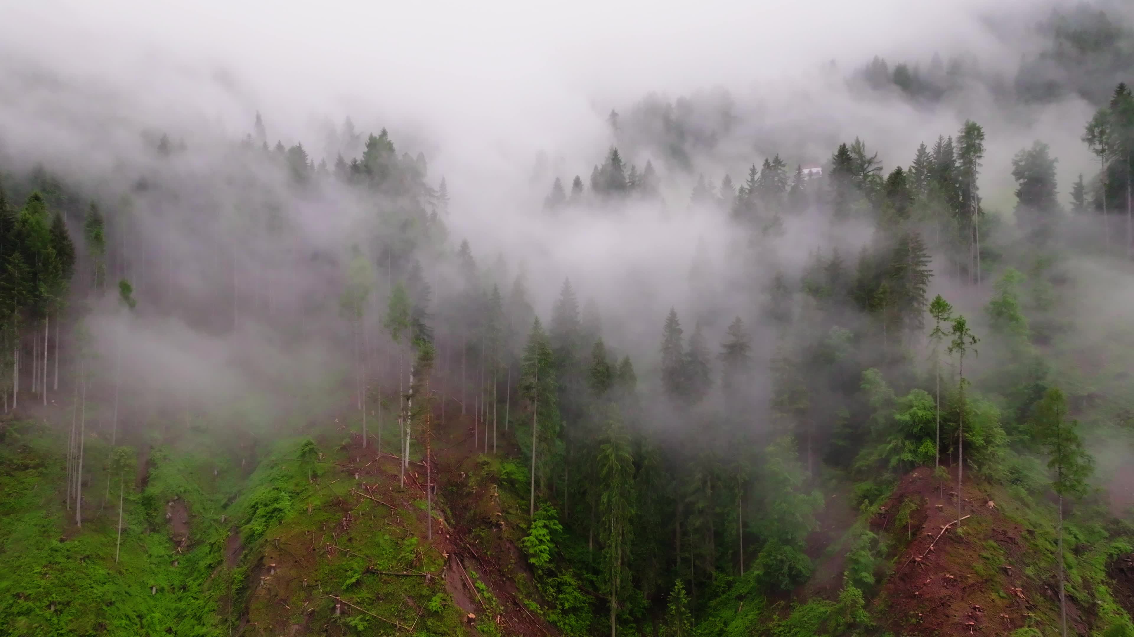Drone View Of Alpine Valley near Bolzano, Italy