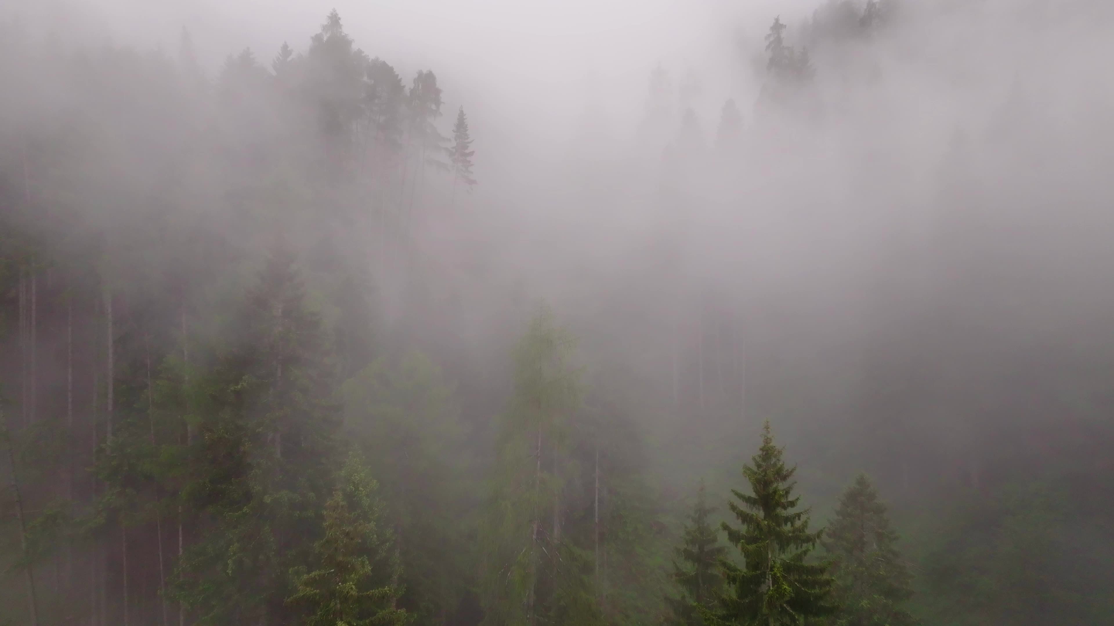 Drone View Of Alpine Valley near Bolzano, Italy