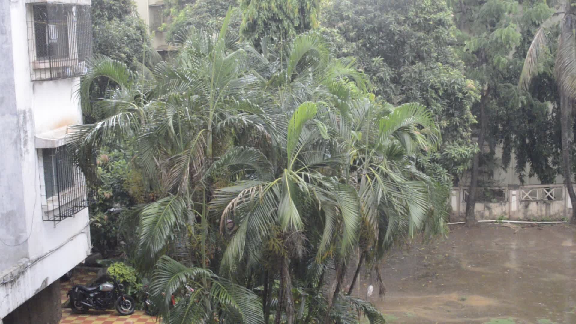 Rainfall In Mumbai 