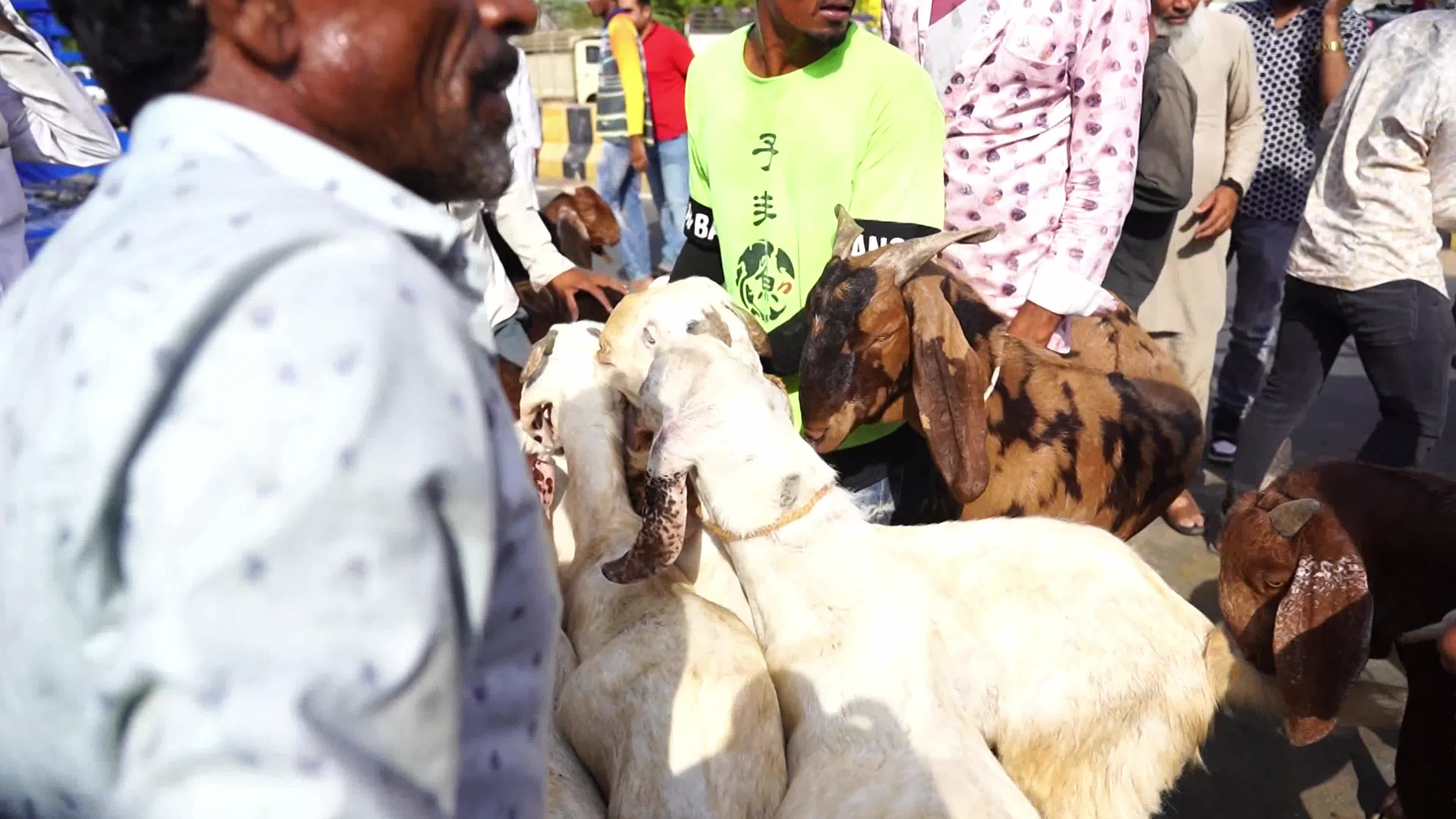 Eid al-Adha India