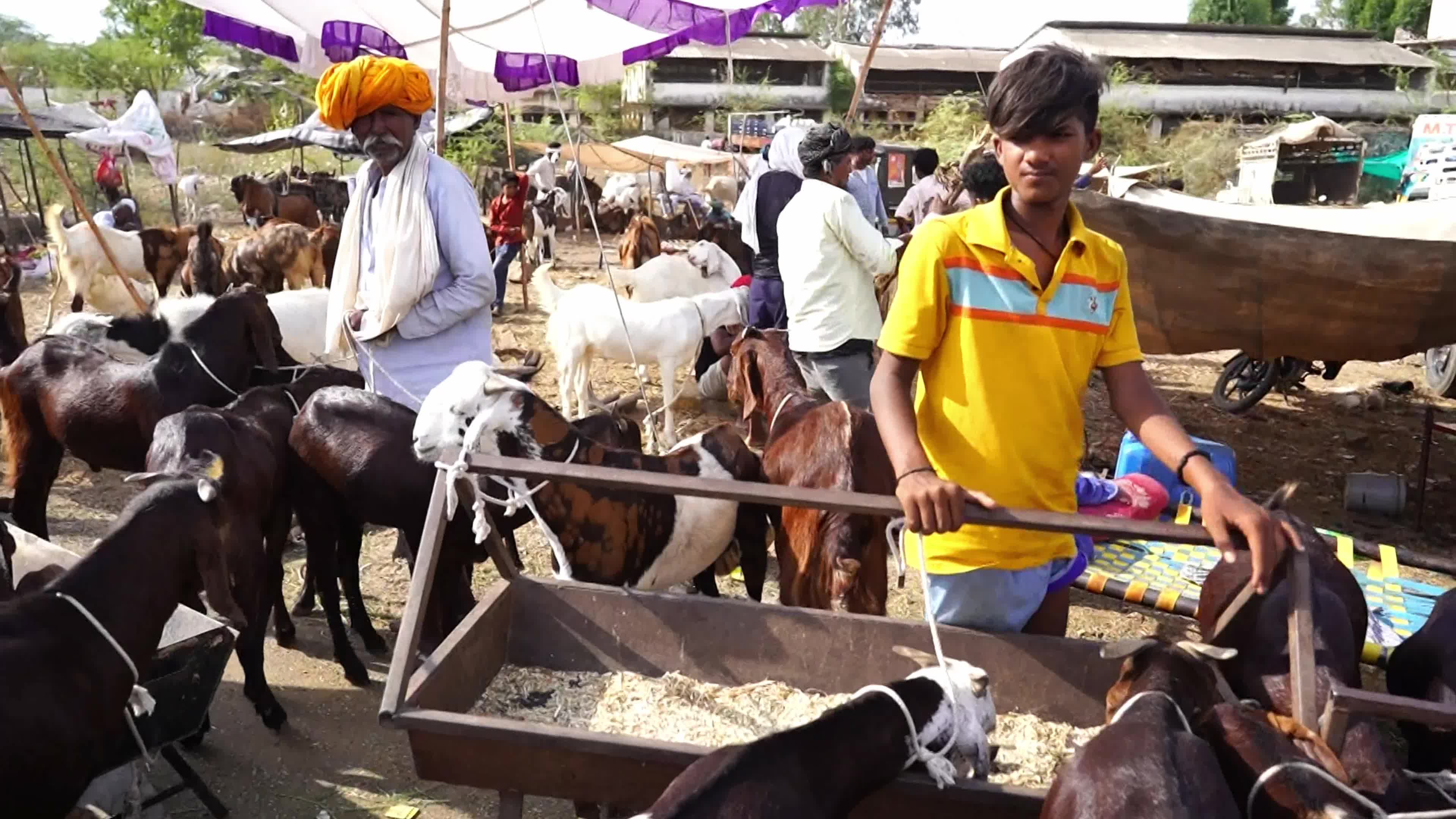 Eid al-Adha India