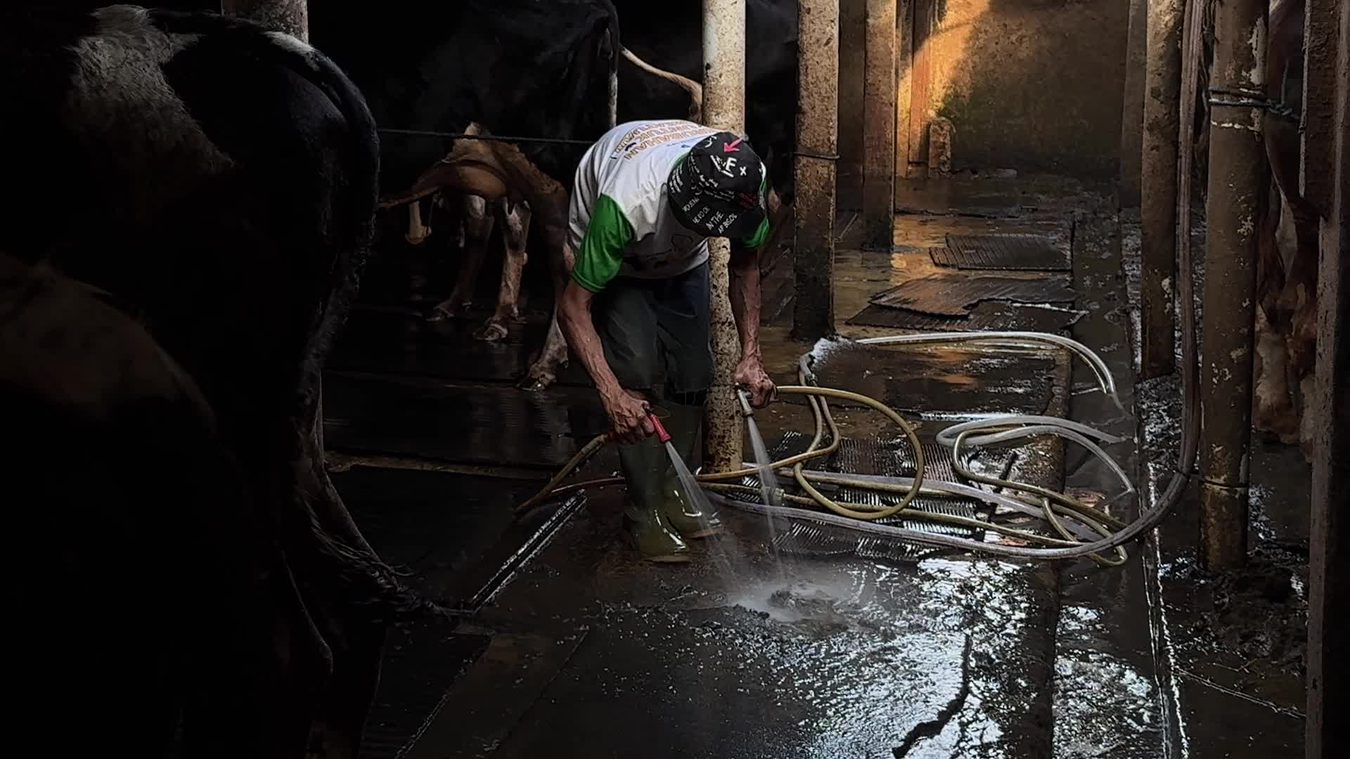 Eid Al-Adha Preparations In Jakarta, Indonesia
