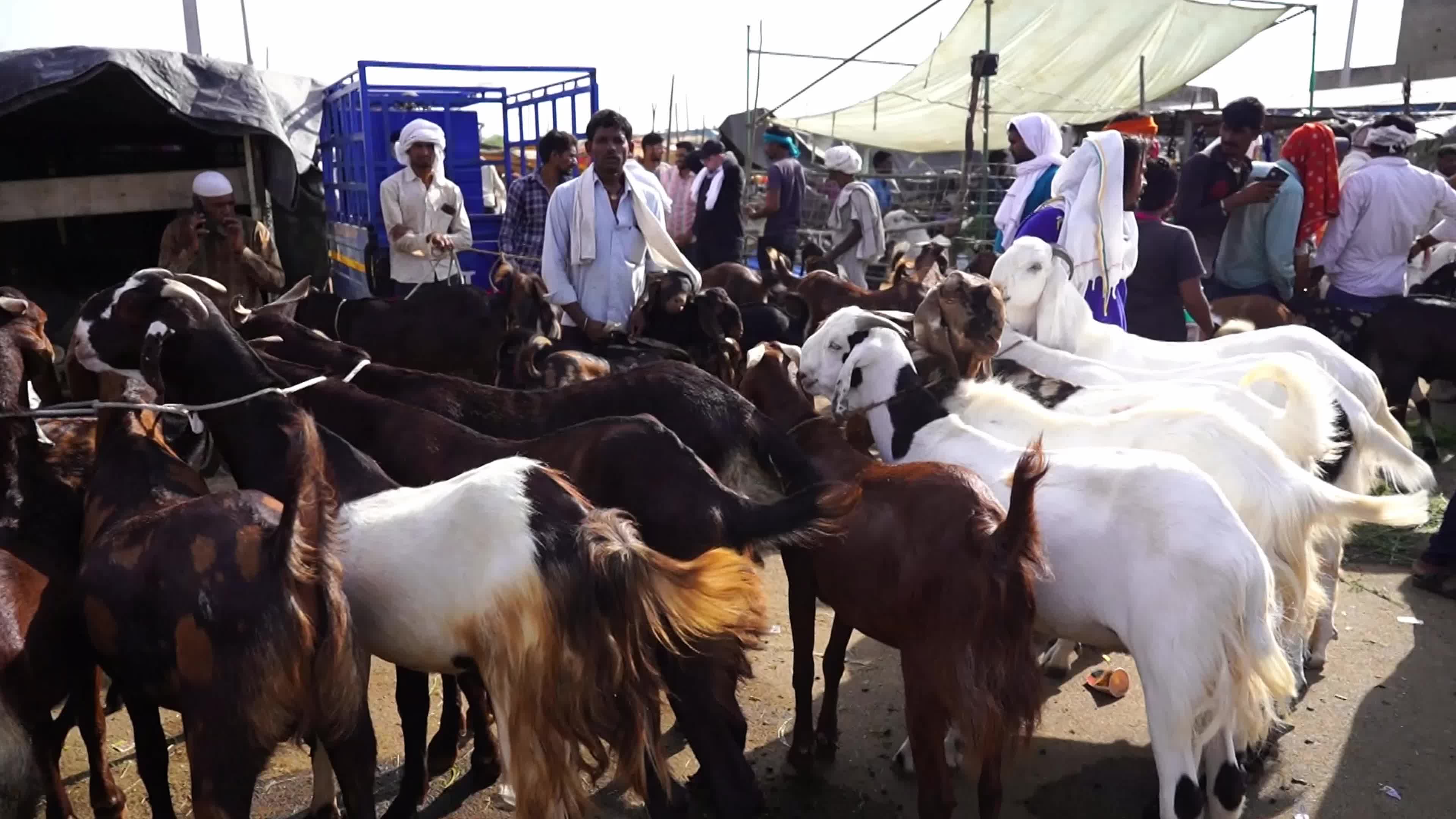 Eid al-Adha India