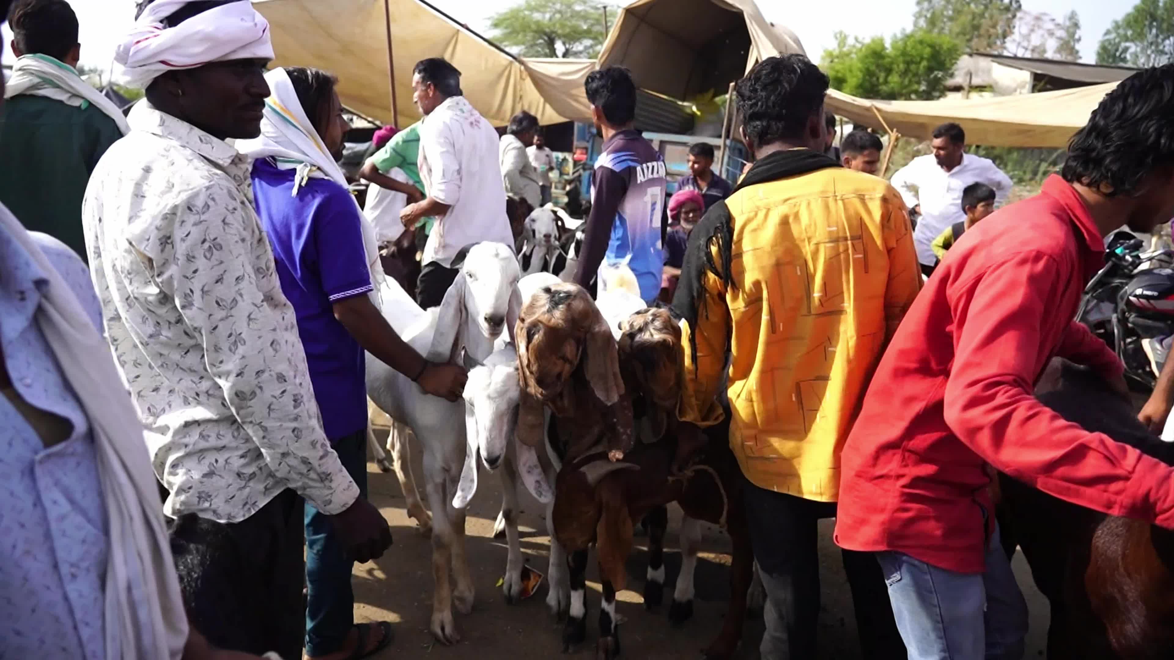 Eid al-Adha India