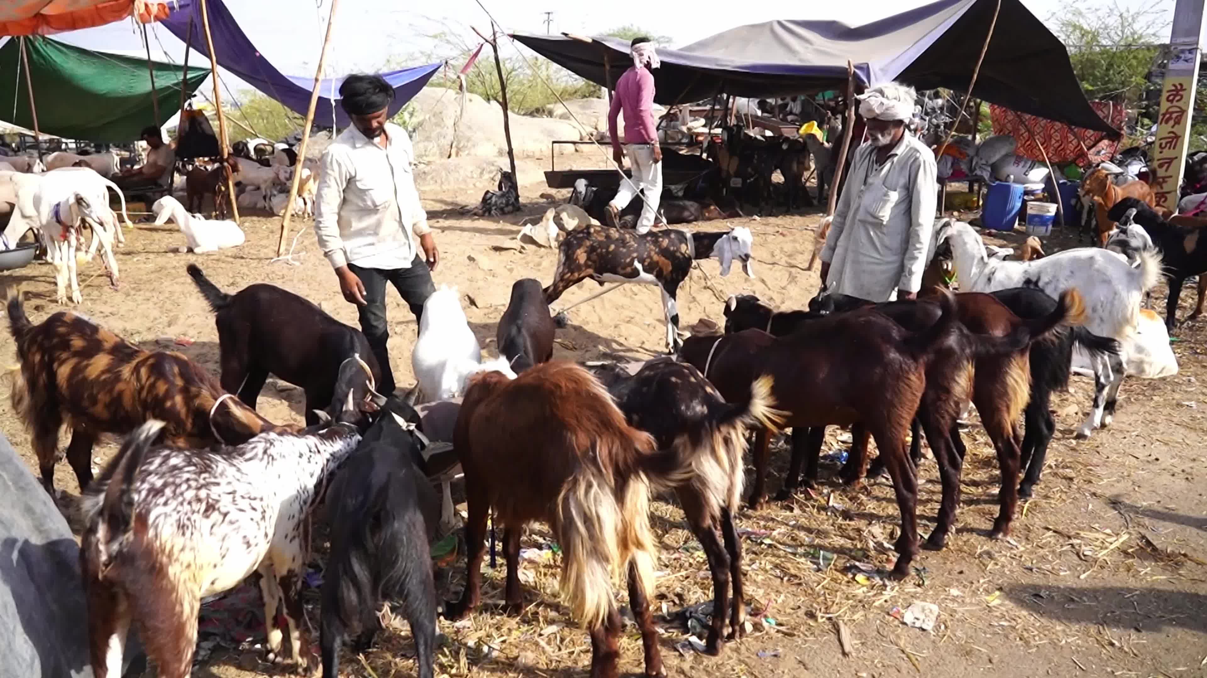 Eid al-Adha India