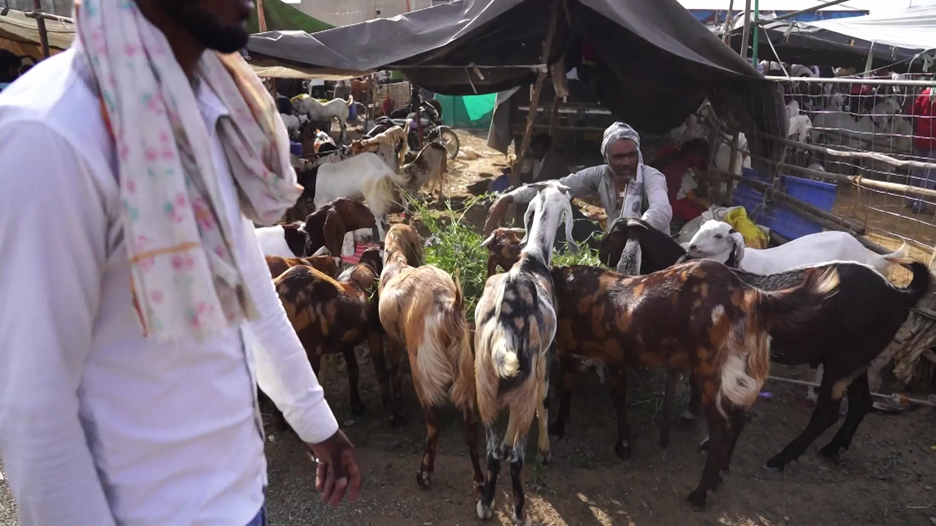 Eid al-Adha India