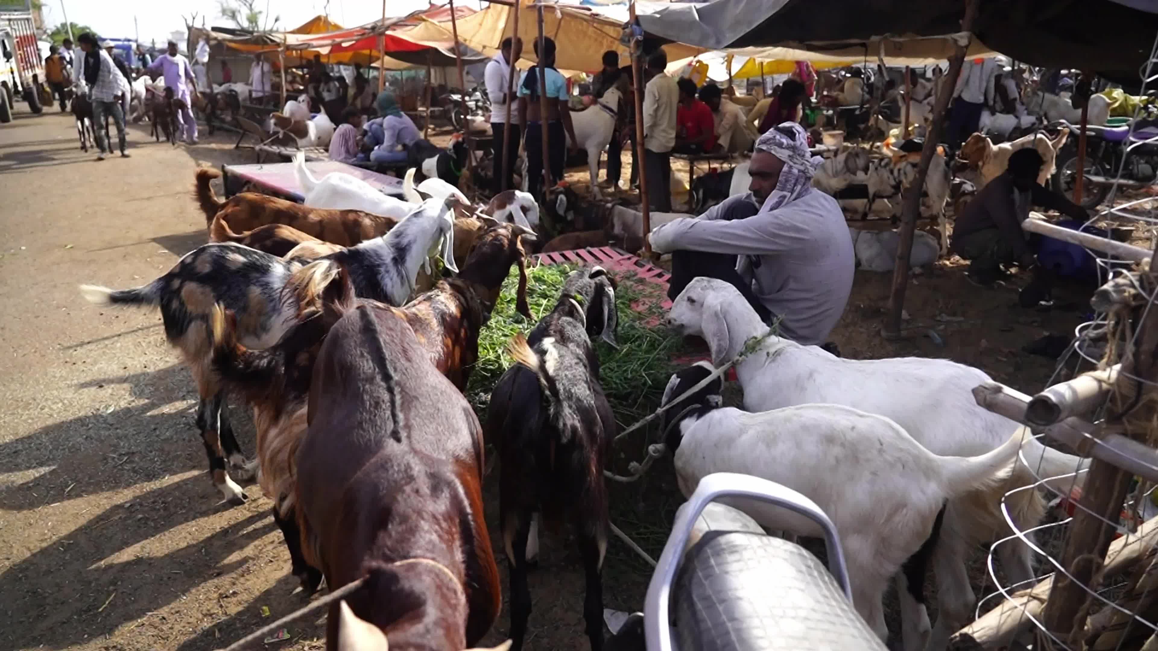 Eid al-Adha India
