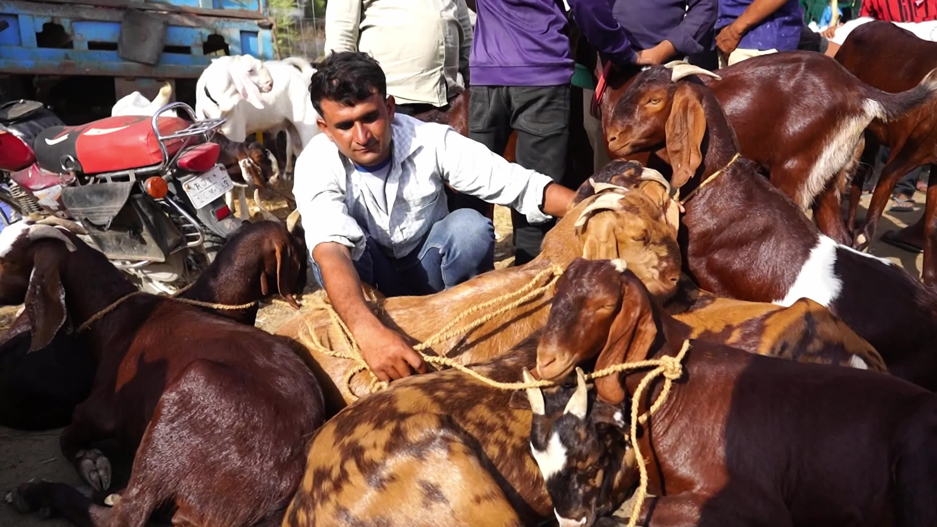 Eid al-Adha India