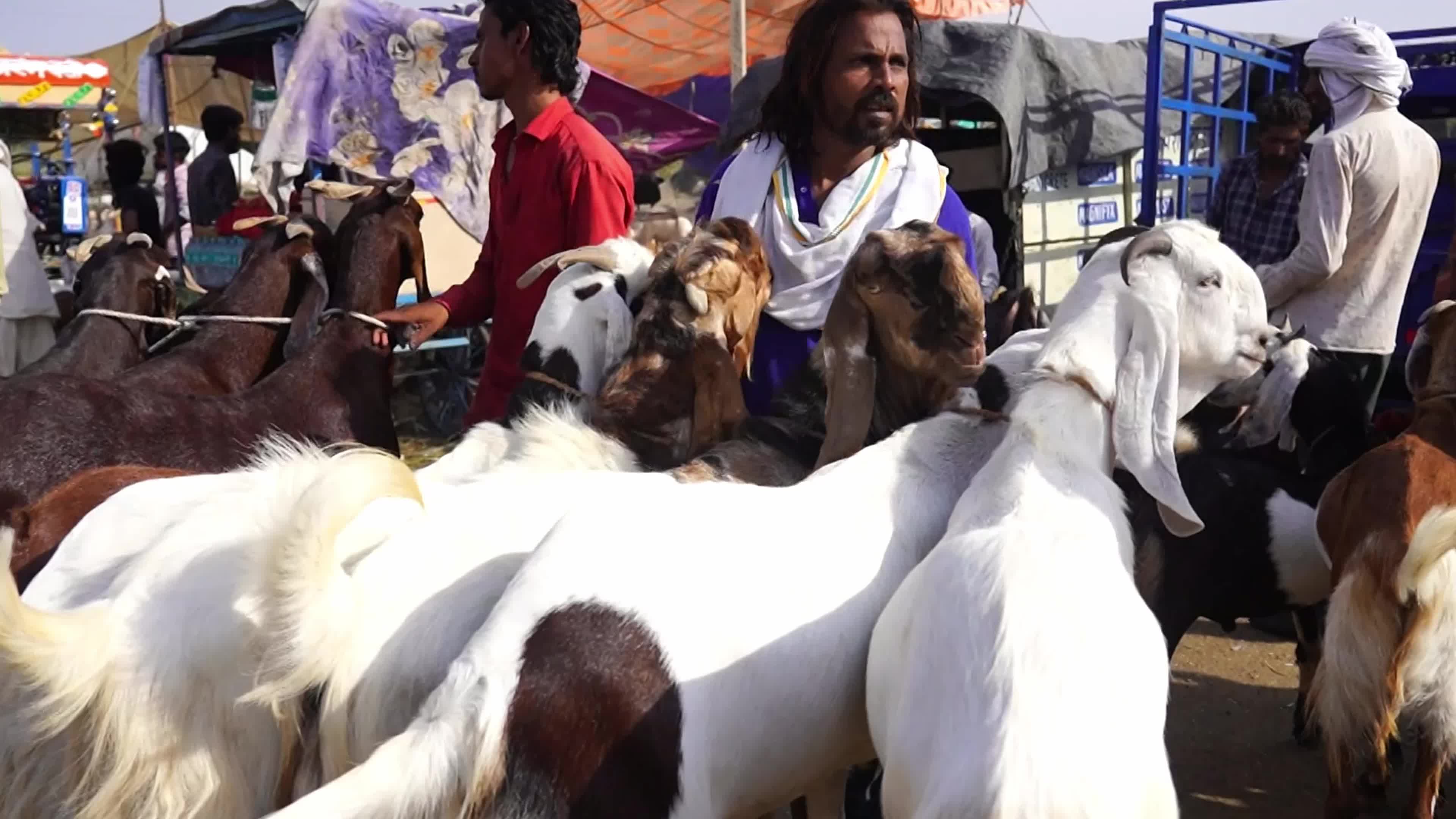 Eid al-Adha India