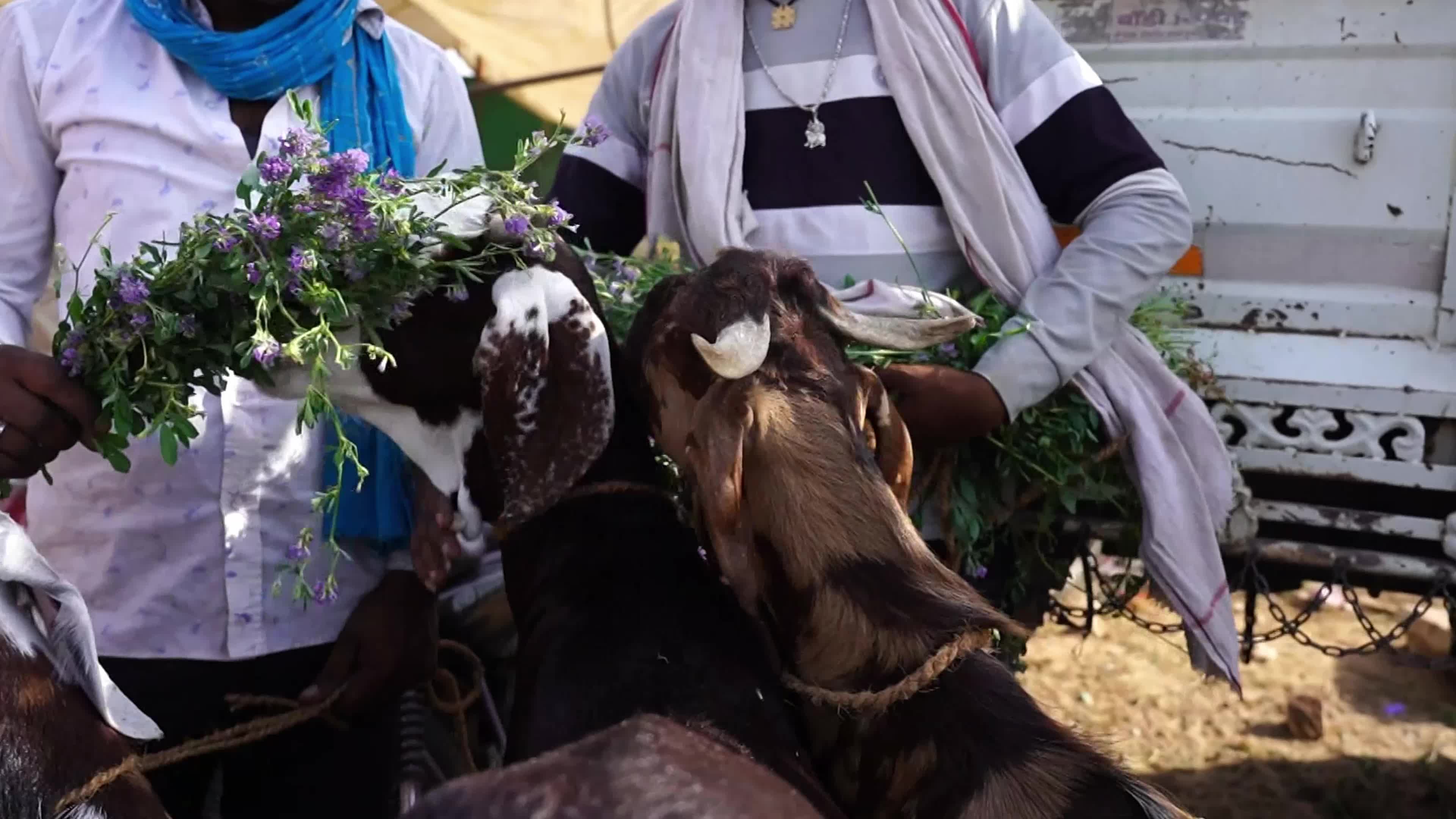 Eid al-Adha India