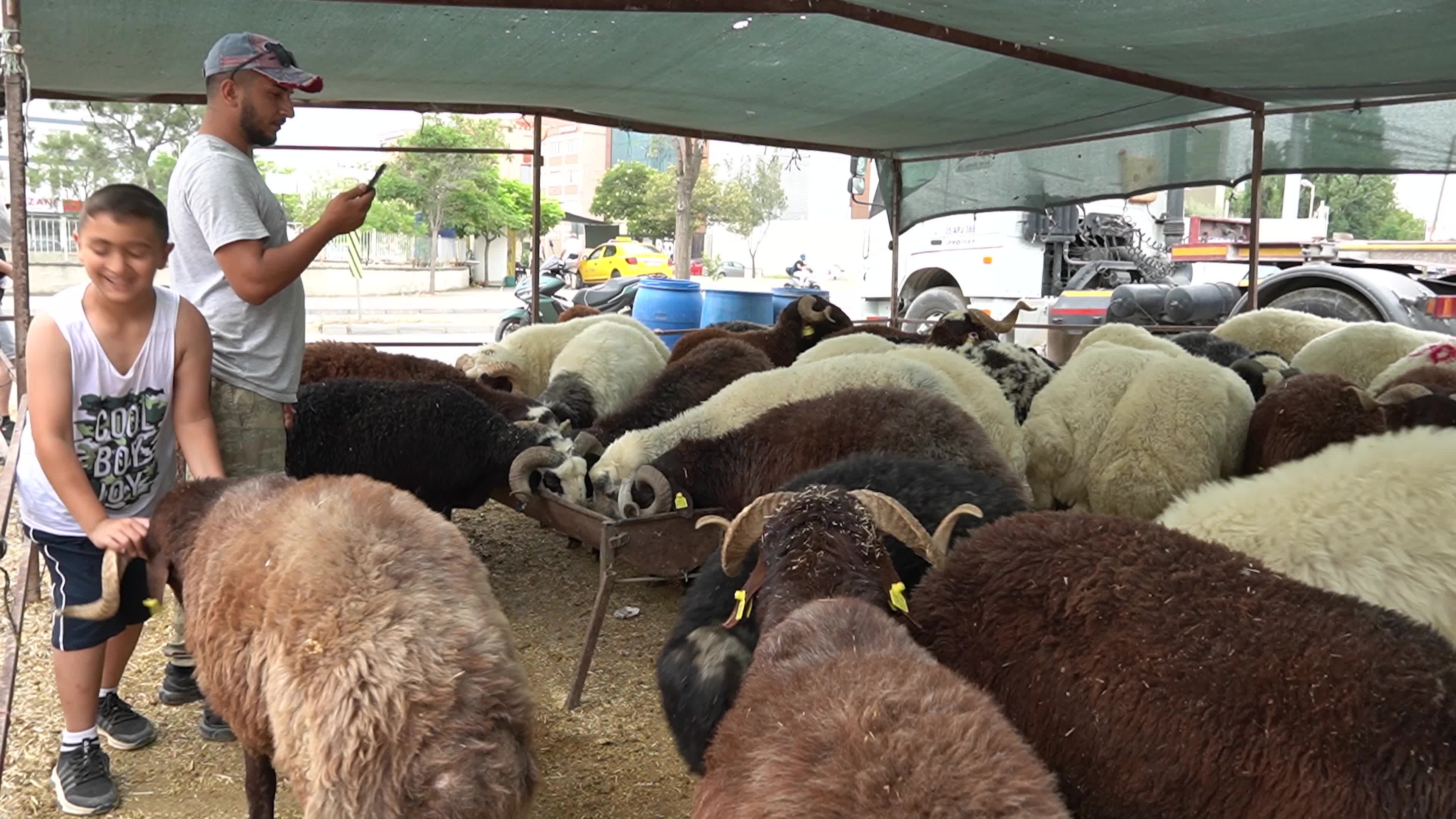 A local and traditional sacrificial animal market held before Eid al-Adha, Izmir, Turkey