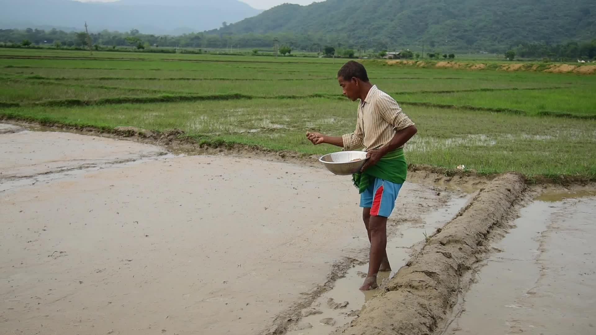 Farmer In India