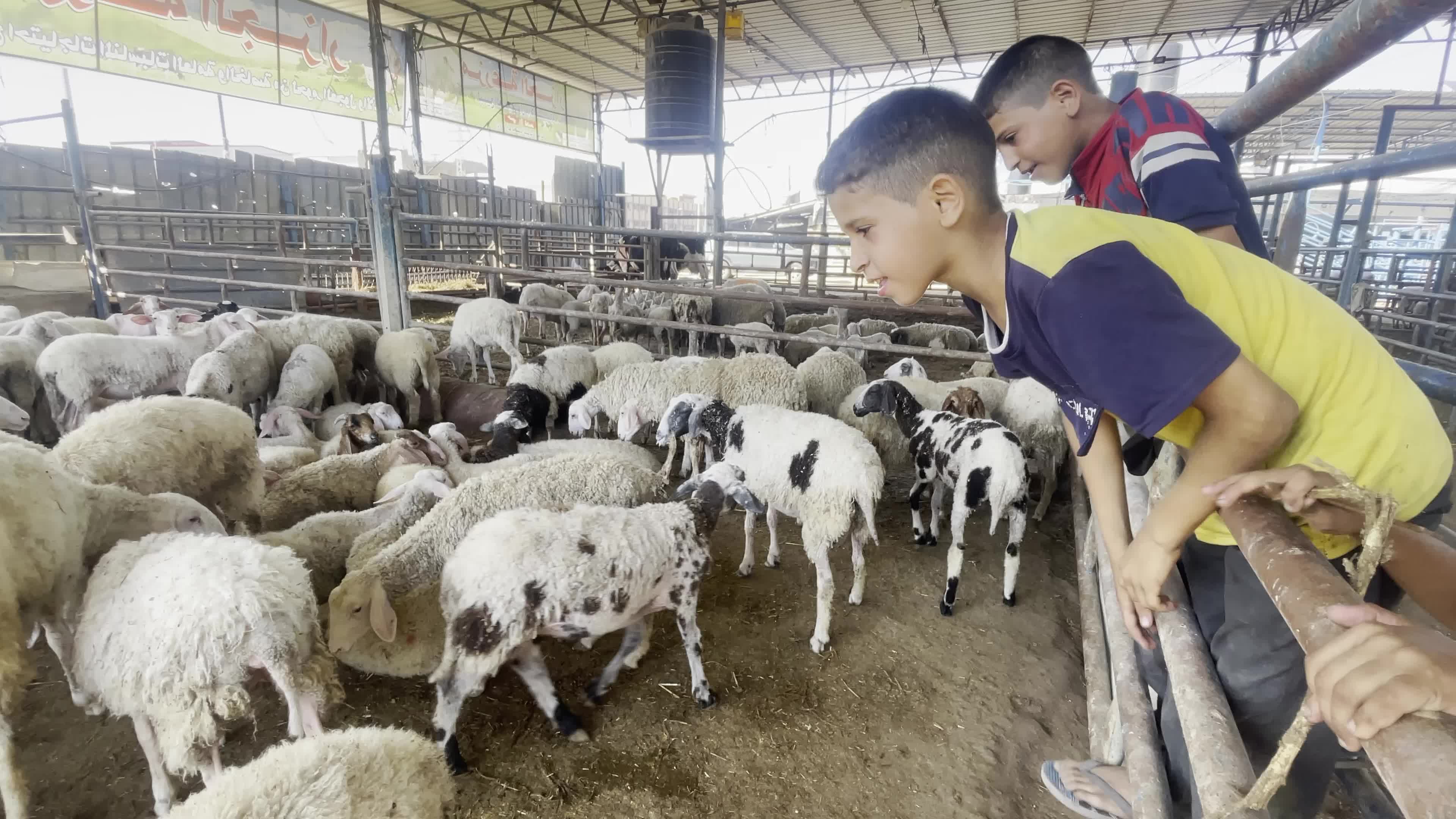 Eid Al-Adha In Gaza, Palestine