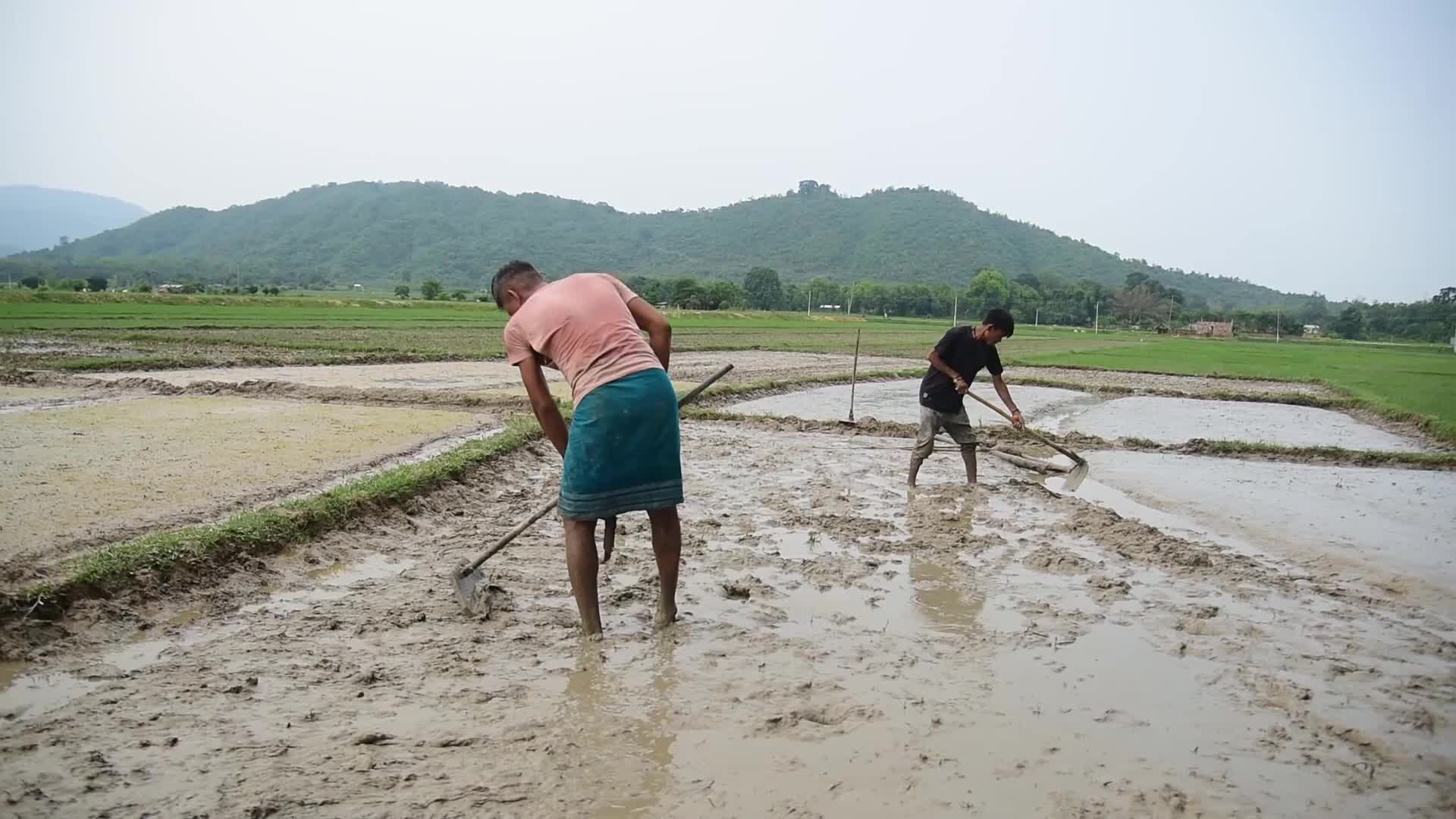 Farmer In India