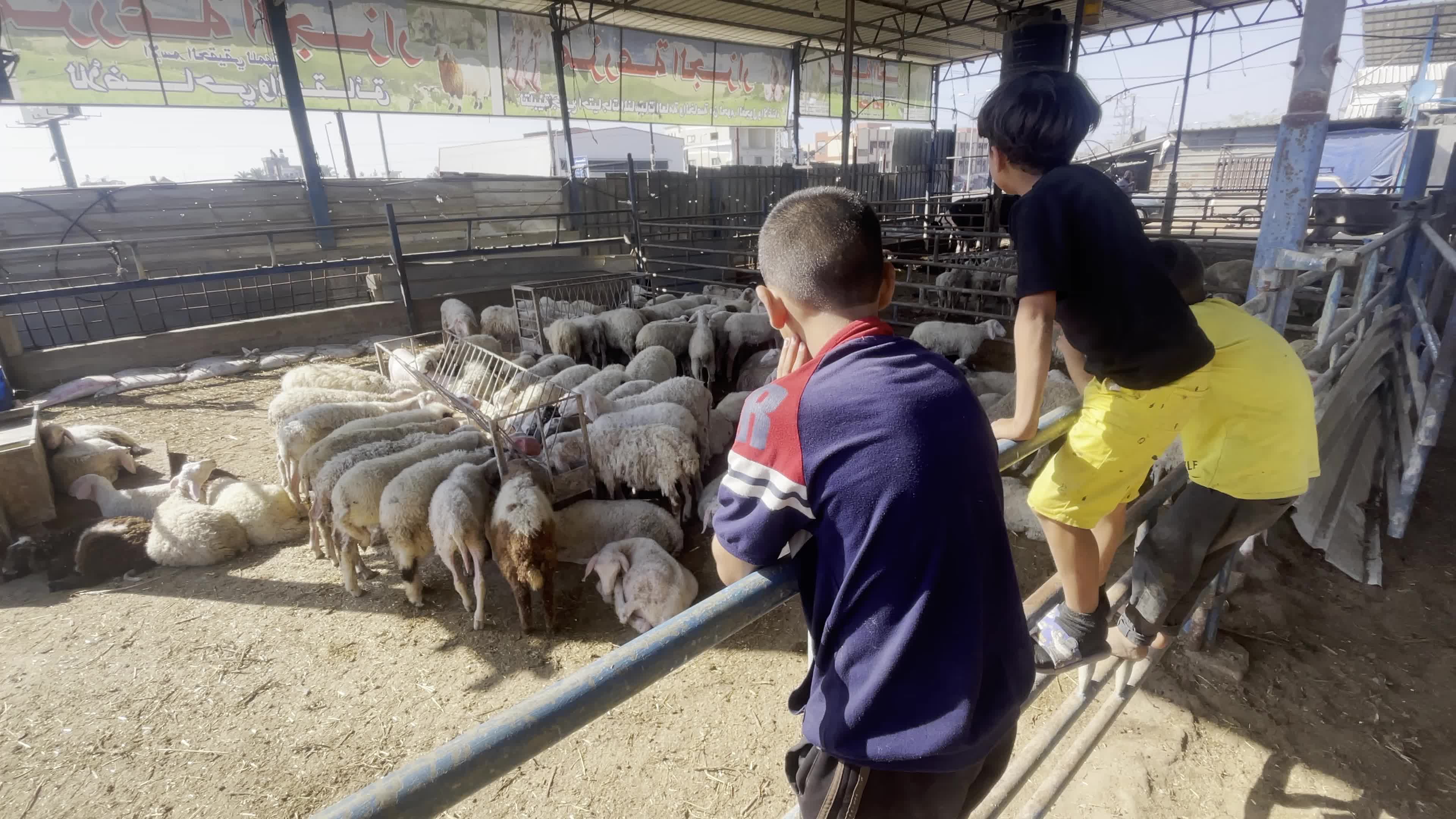 Eid Al-Adha In Gaza, Palestine