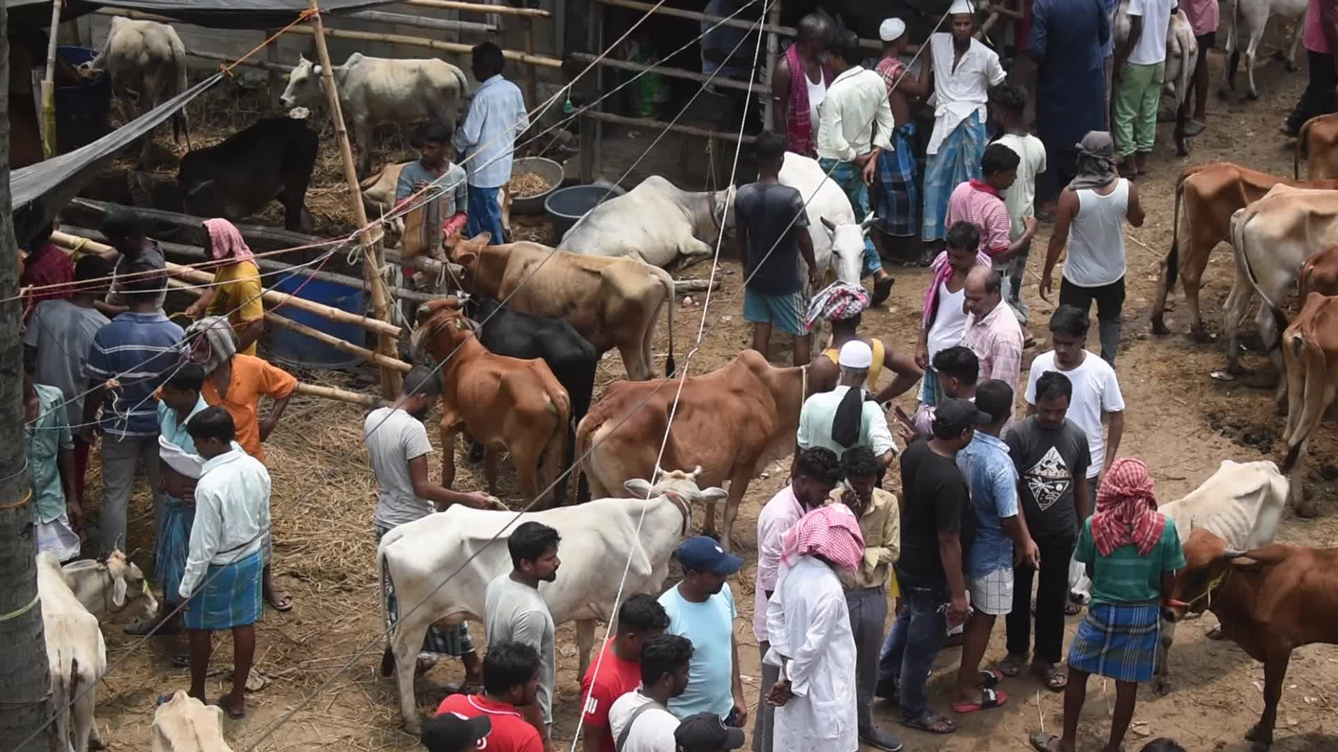 Eid al-Adha celebrations in Kolkata, India