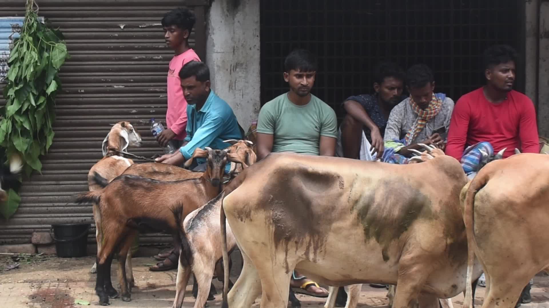 Eid al-Adha celebrations in Kolkata, India