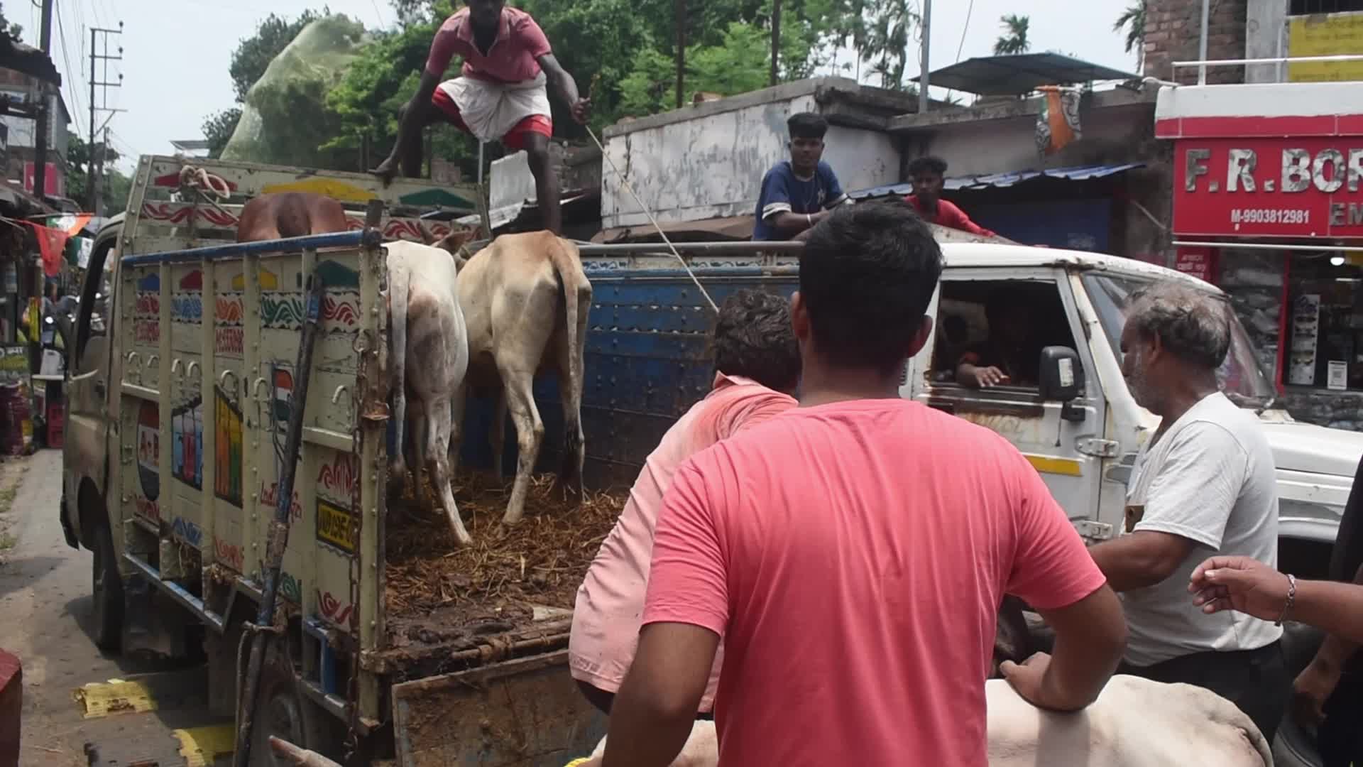 Eid al-Adha celebrations in Kolkata, India