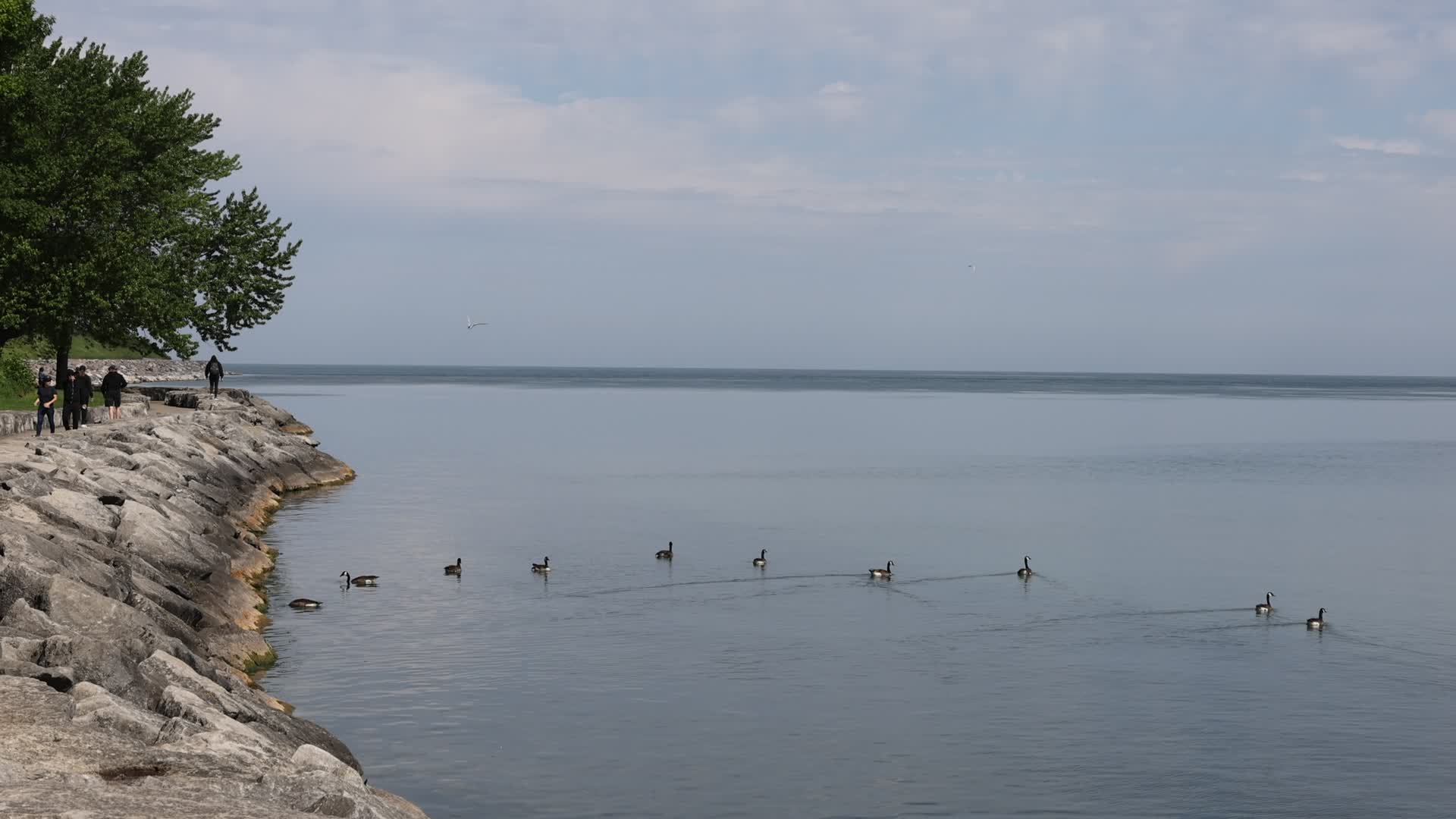 Daily life along Lake Ontario
