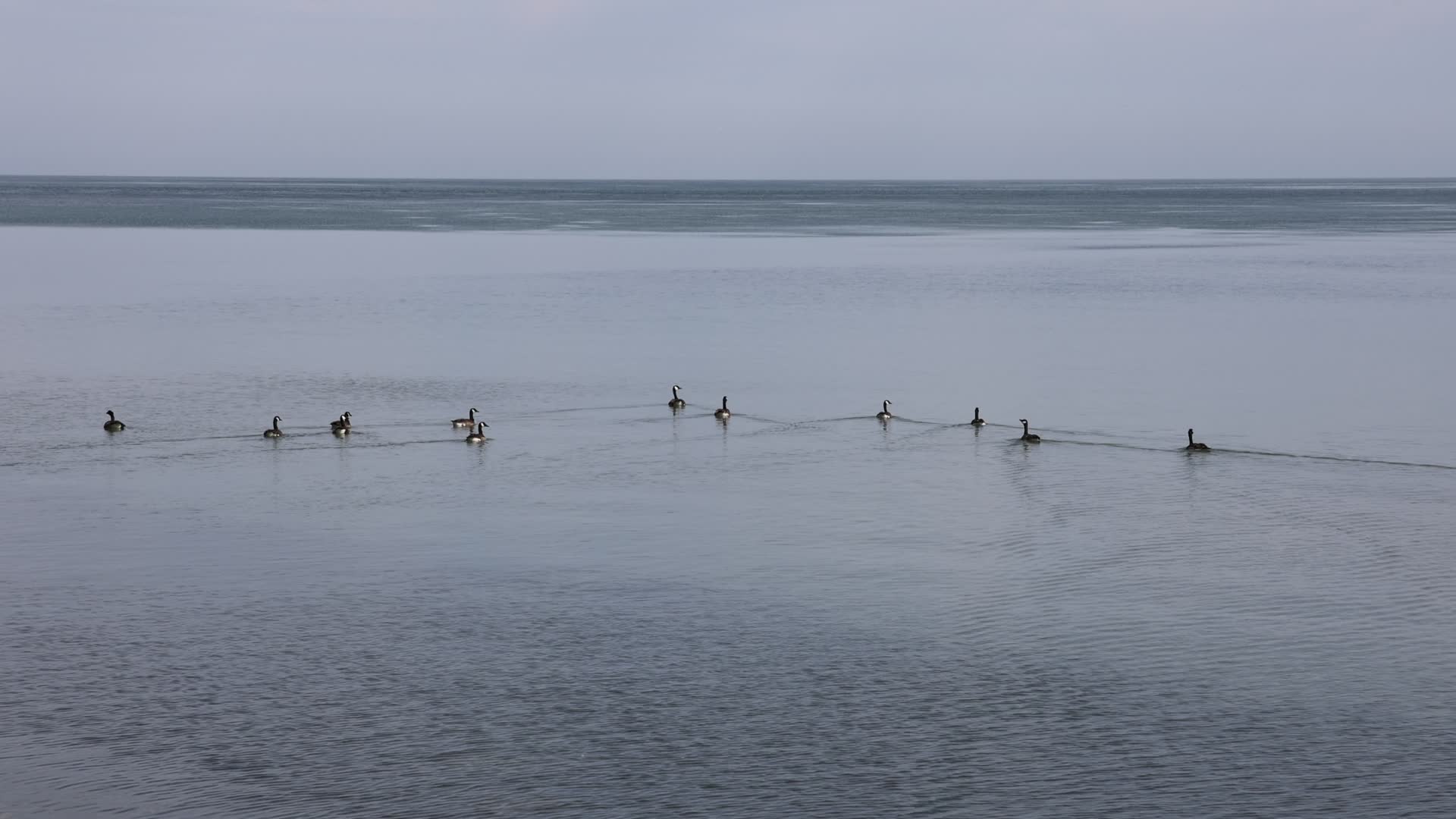 Daily life along Lake Ontario